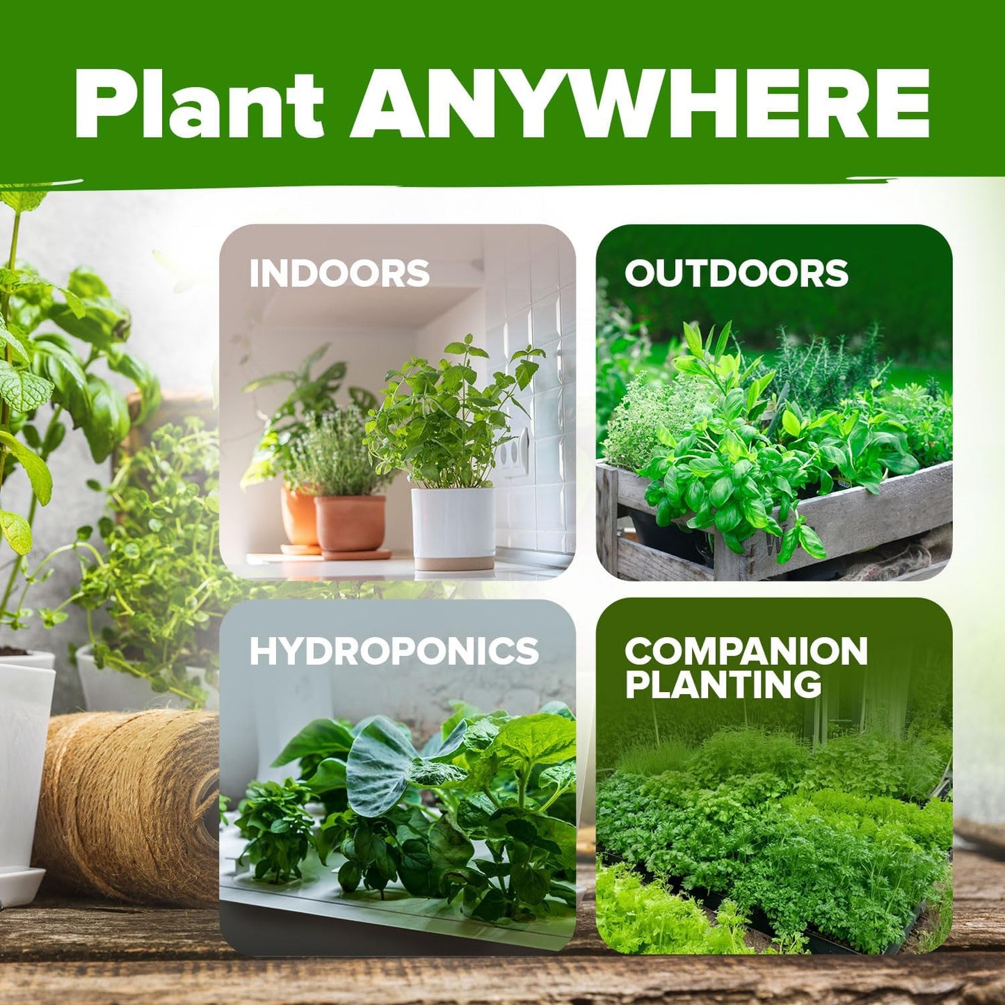 HOME GROWN 𝗢𝗥𝗚𝗔𝗡𝗜𝗖 15 Herb Seeds Variety Pack 2,500+ 𝗡𝗢𝗡-𝗚𝗠𝗢 𝗨𝗦𝗔 High-Germinating Heirloom Seeds for Planting Indoor Outdoor Herb Garden Hydroponics Garden Seeds, Basil Cilantro & More