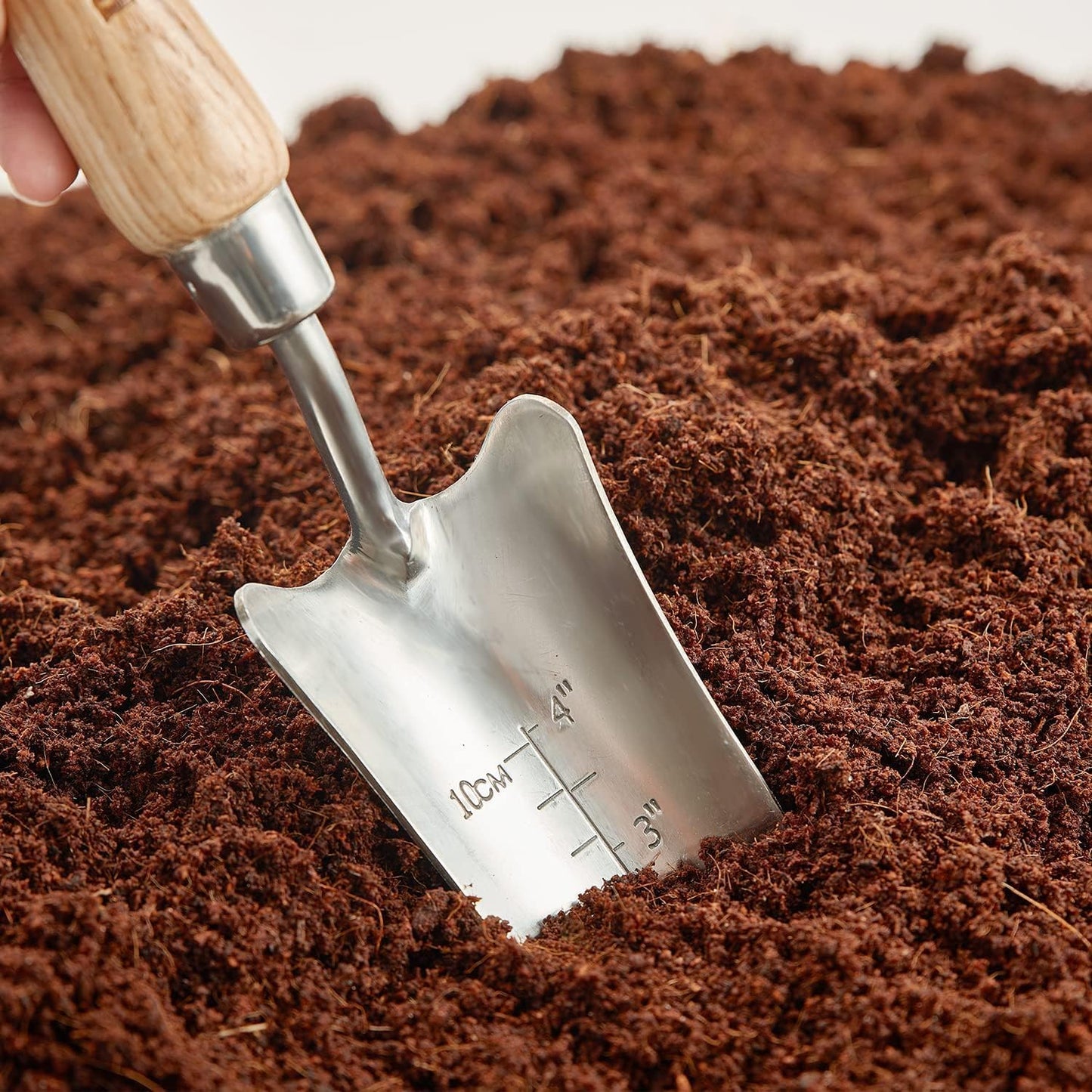 Berry&Bird Transplant Trowel with Measurements, Garden Stainless Steel Potting Hand Trowel with Wooden Handle, Small Garden Hand Shovel Transplanter Tool for Planting Digging Transplanting Gardening