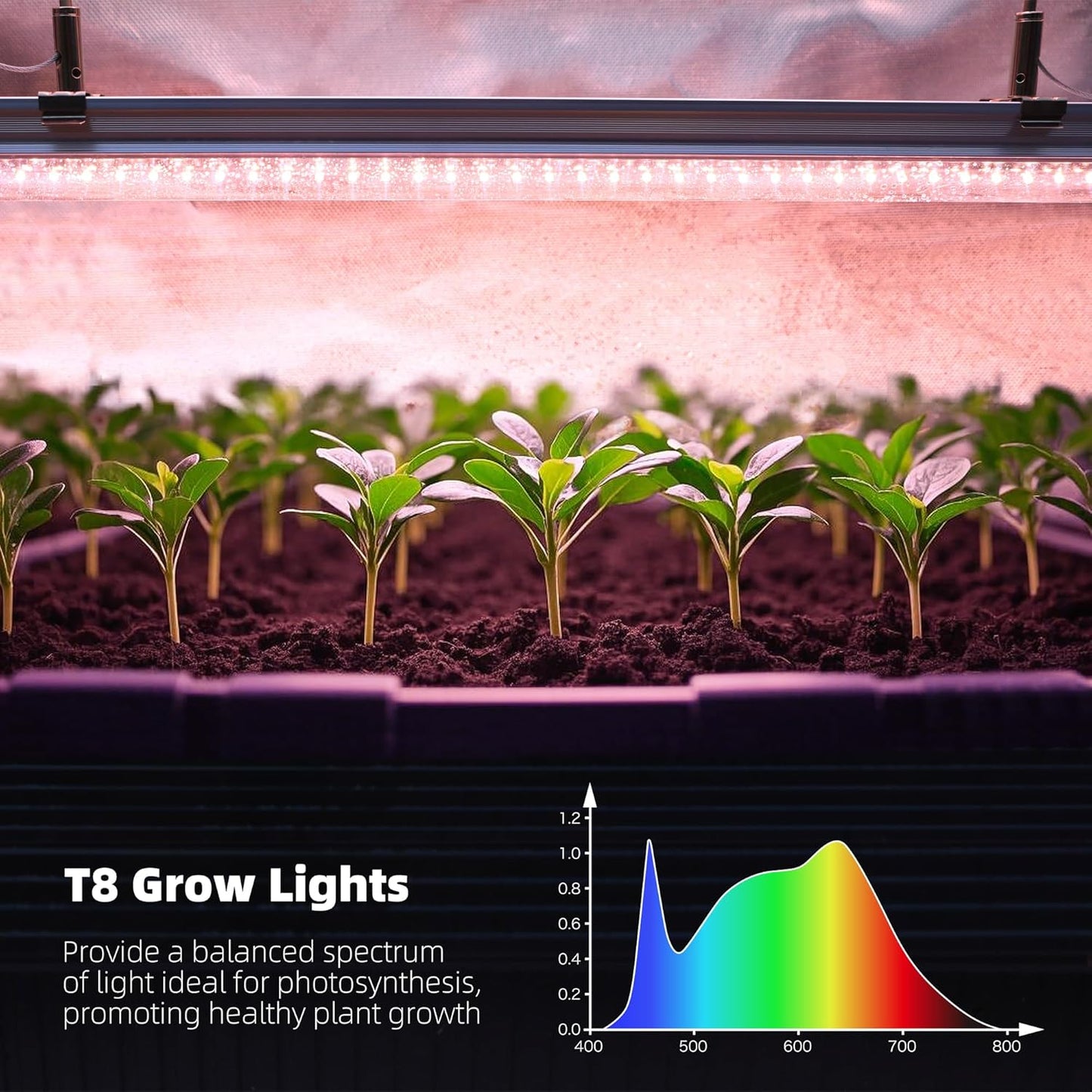 WORTH Mini Greenhouse with LED Grow Lights & Digital Thermo-Hygrometer – Portable Indoor Plant Grow Tent with Oxford Fabric Cover, Adjustable Shelves, Casters & Ventilation Flaps for Seed Starting