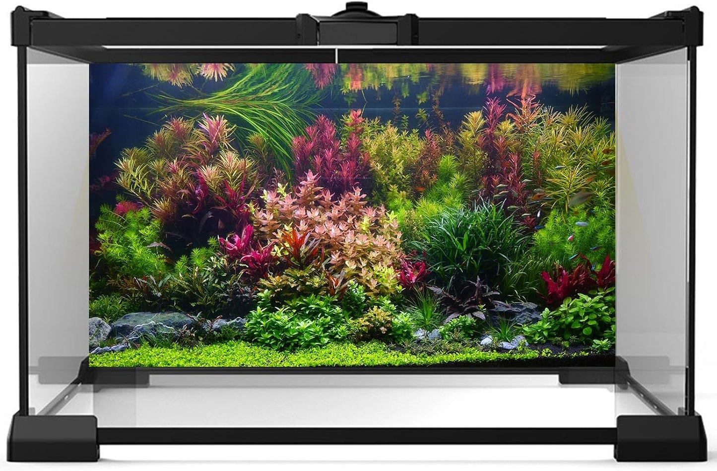Aquarium Background Various Vivid Fresh Underwater Aquatic Plant Fish Tank Aquarium Backdrop Stone River Bed and Lake Fish Terrarium Background Decor Vinyl 60x24in