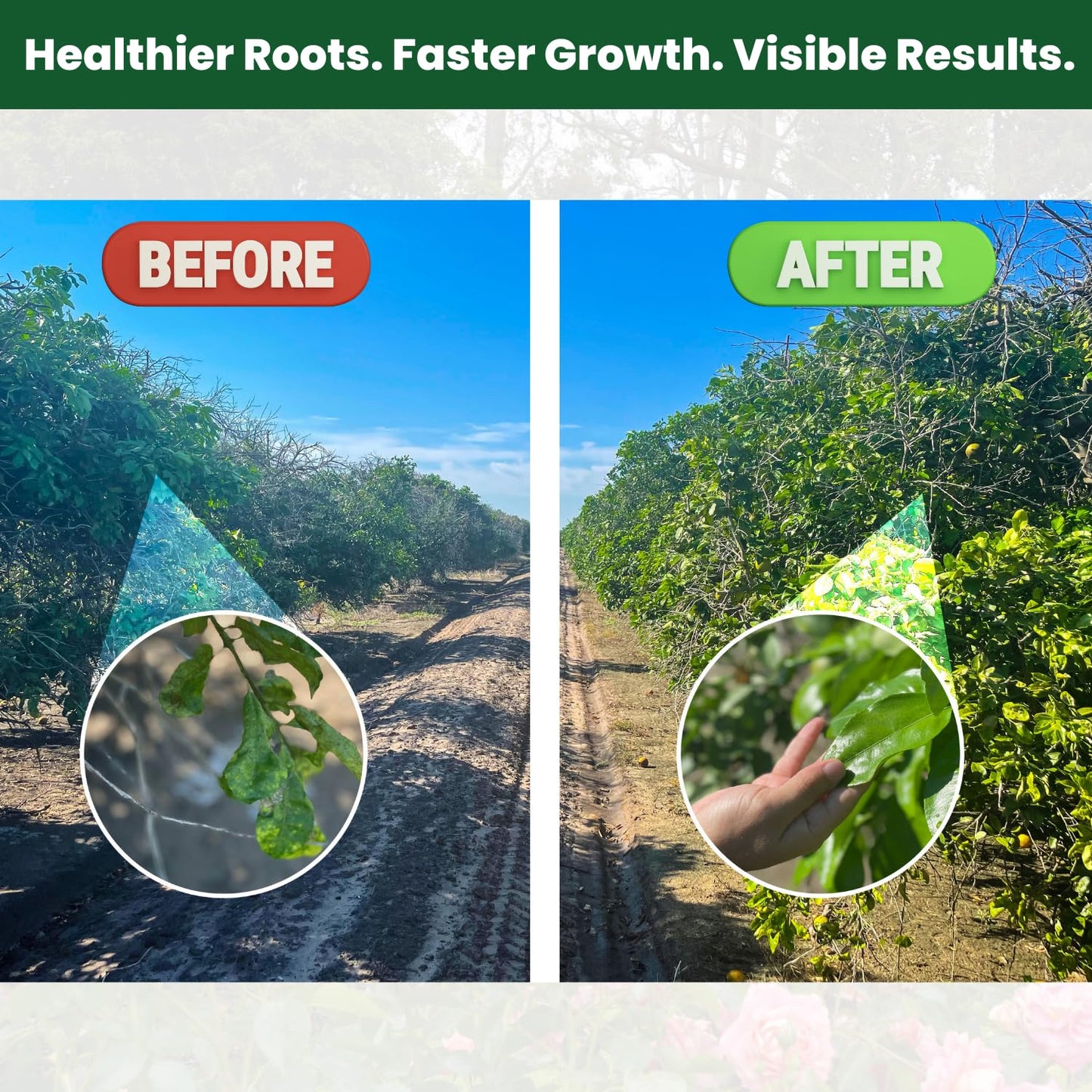 Concentrated Liquid Enzyme-Based Organic Plant Food(8.45oz) Organic Plant Food & Gardening Fertilizer-Enhances Root Development Ideal for Indoor & Outdoor Plants & Vegetables(1-0-1)