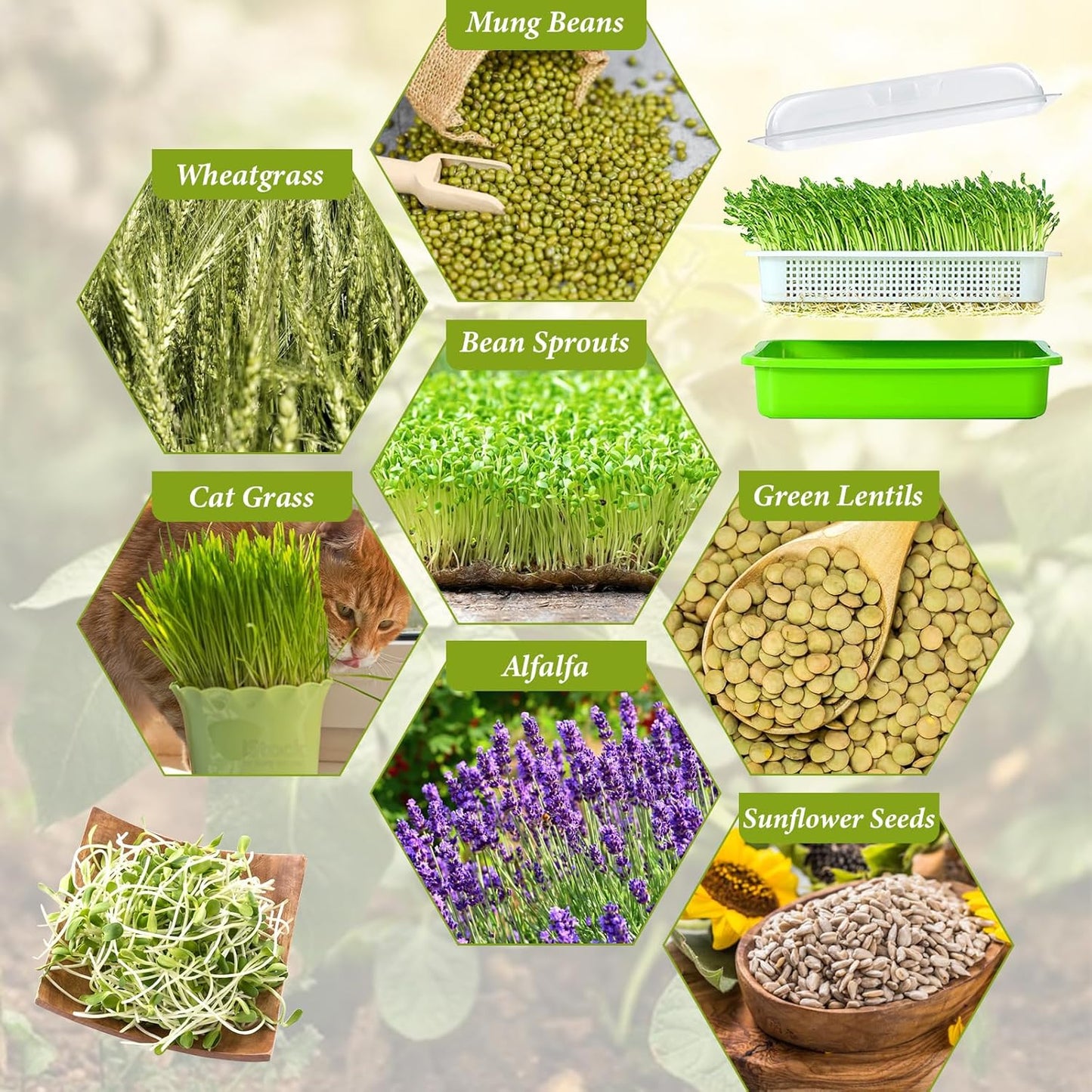 Legigo 8 Pack Seed Sprouter Trays with Lids- Soil-Free Cultivation Germination Tray, BPA Free Micro Greens Growing Trays Seed Sprouting Trays Kit with Germinating Paper for Wheatgrass, Beans and More