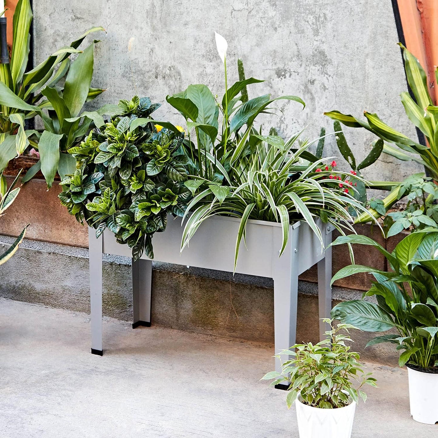 Metal Raised Garden Bed,Raised Planter Box with Legs,Herbs and Vegetables Planter Suitable for Outdoor Patio Deck and Porch (Mini Gray)