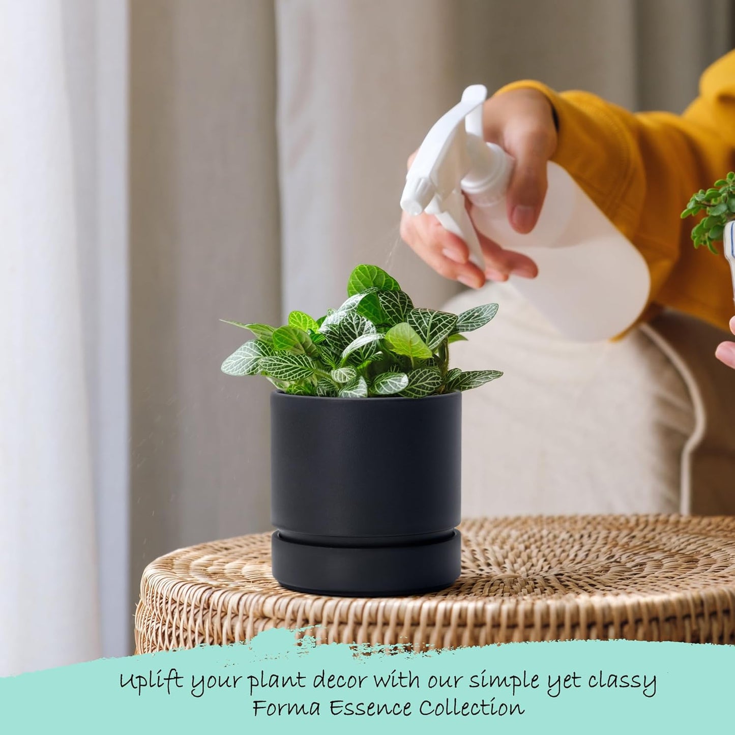 Phoenix Vine 4 Inch Planter Pot with Drainage Hole & Saucer, Deep Water Catch Tray, Straight Cylindrical Round Pot for Plants, Matte Black, Pack of 3, 23-C-R-3