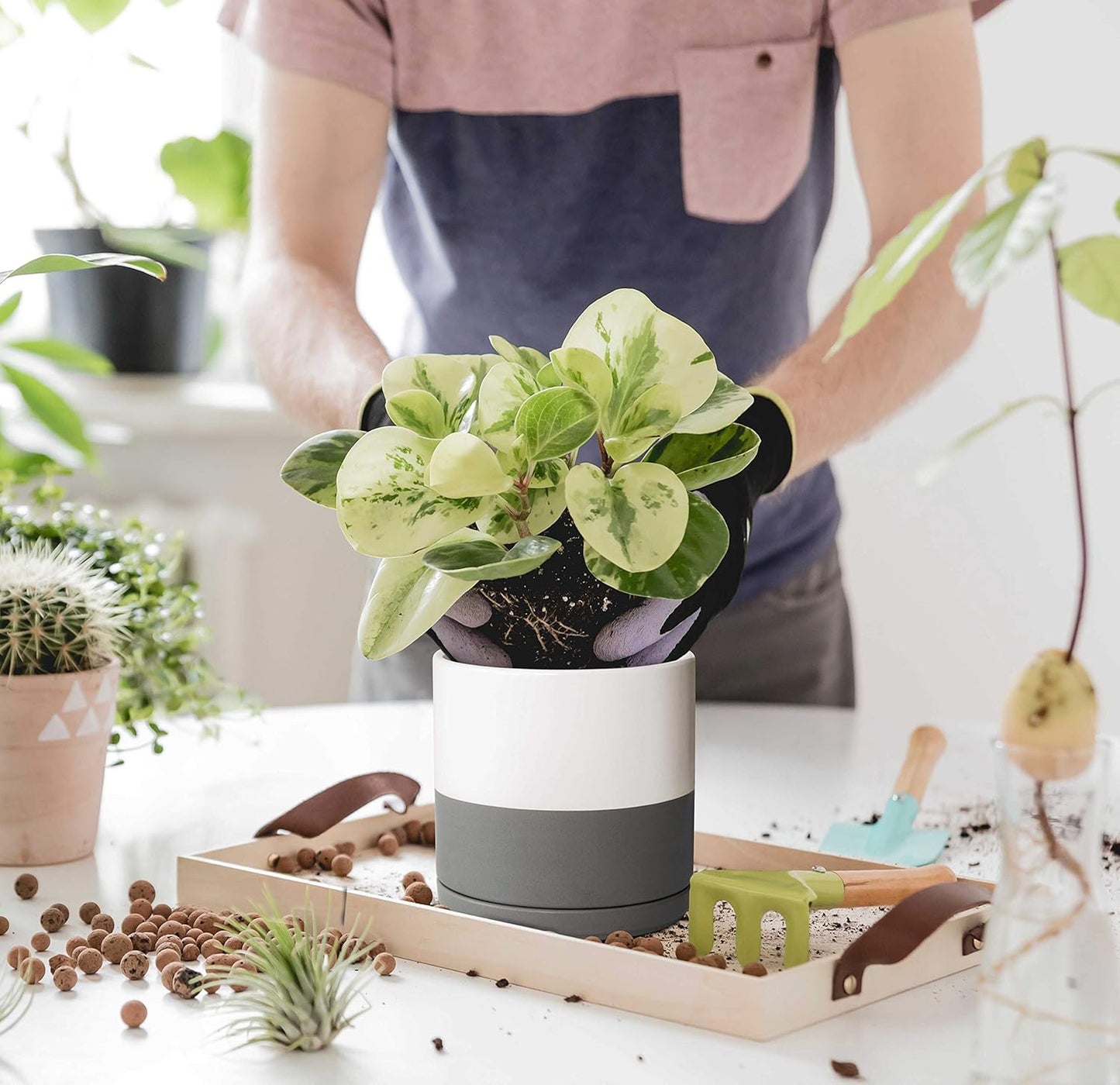 D'vine Dev 4.6 Inch & 6 Inch Ceramic Planter Pots for Plants with Drainage Hole and Saucer, Small Plant Pots Set, White/Speckled Grey, 94-G-S-6