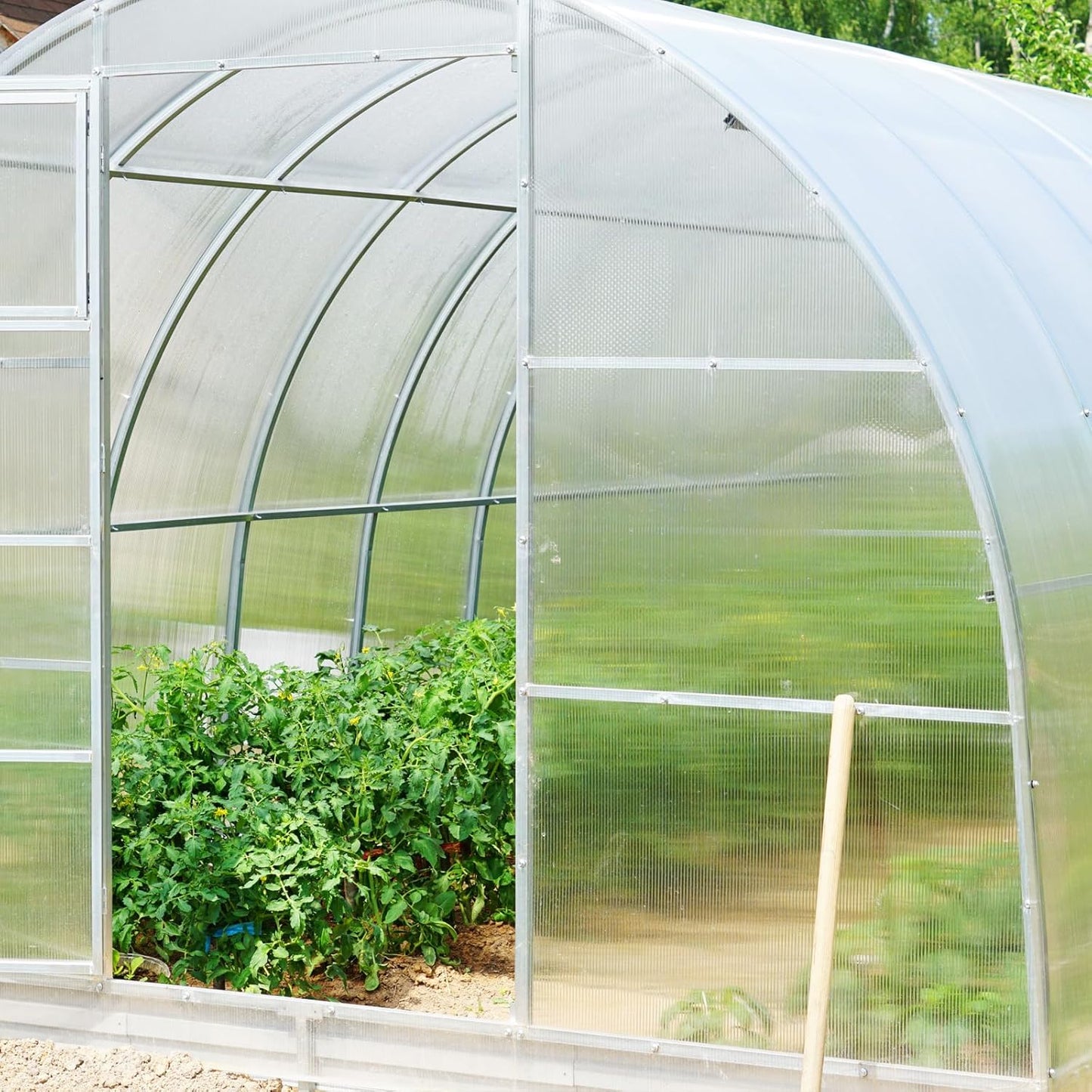 6 Pcs Polycarbonate Greenhouse Panels Waterproof UV Protected Polycarbonate Double Layer Polycarbonate Panels Sheet Corrugated Plastic for Greenhouse, Outdoor, Plant Stand Roof, clear