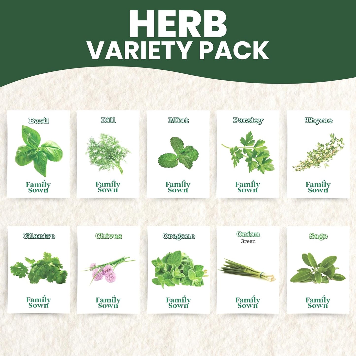 Herb Seeds | 10 Invidiual Packs | 2025 Season | Non-GMO | Mint, Parsley, Basil, Thyme & More! | for Planting Indoor & Outdoor | by Family Sown