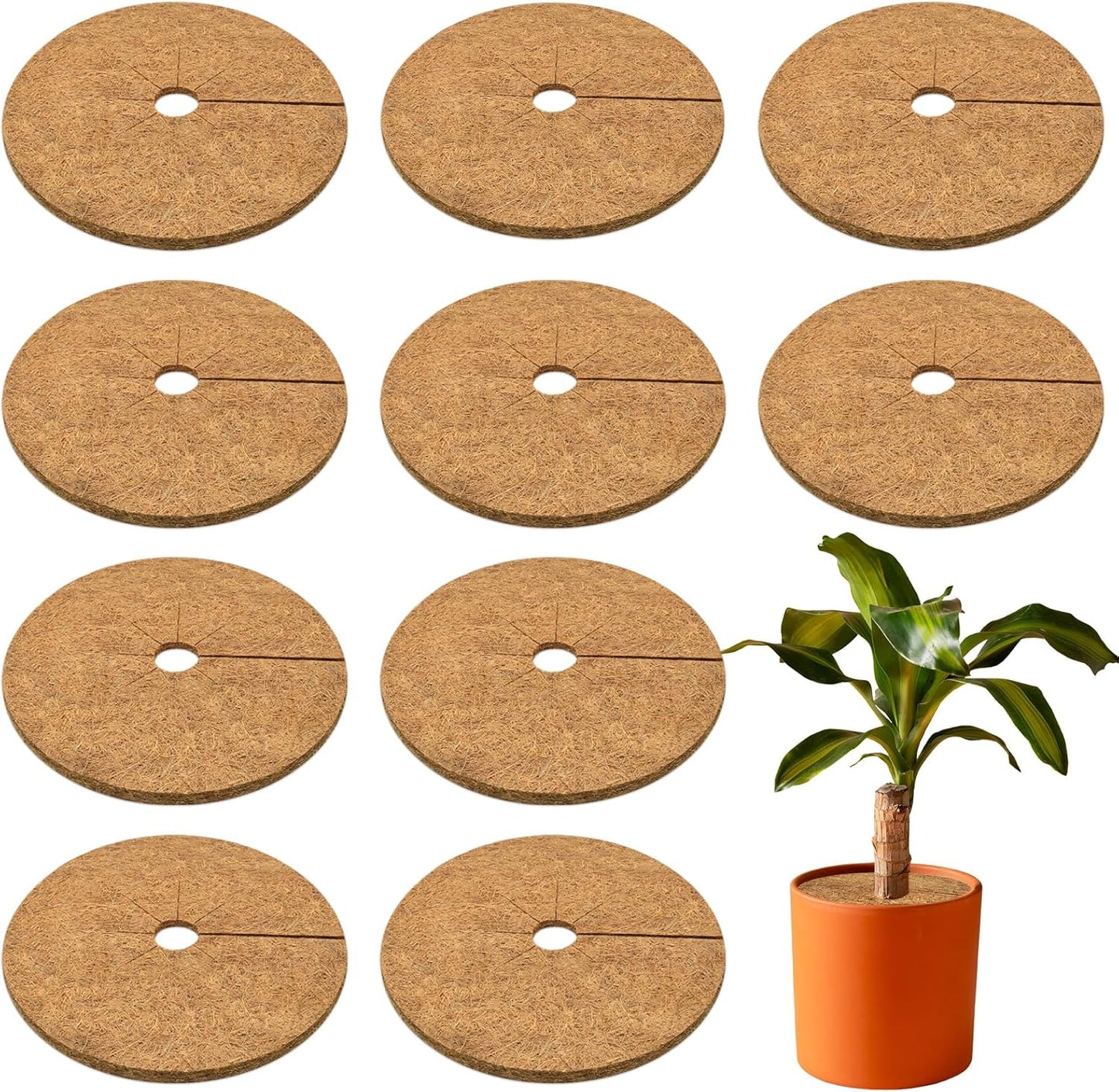ZeeDix 10 Pack 9 Inch Coconut Fiber Mulch Ring, 100% Natural Coco Coir Tree Ring Mulch Mat Plant Protector Mat, Coconut Coir Discs Plant Pot Soil Cover for Indoor Outdoor Plants, Flower Pot Decoration