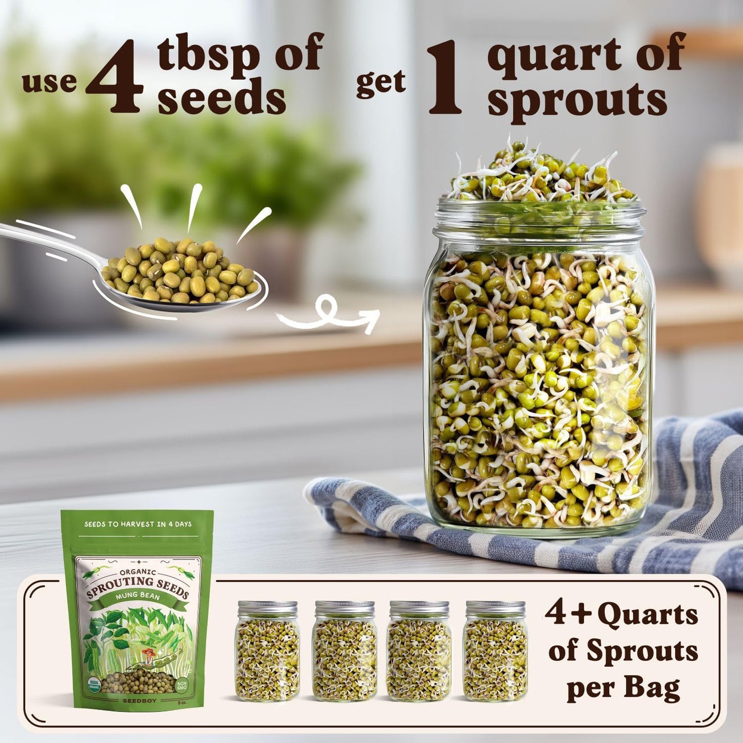Seedboy Organic Mung Bean Seeds for Sprouting - Non-GMO, USDA Organic Sprouting Seeds Mix - Makes 5 Quarts of Sprouts, 15 Servings (8 oz) (Mung Bean)