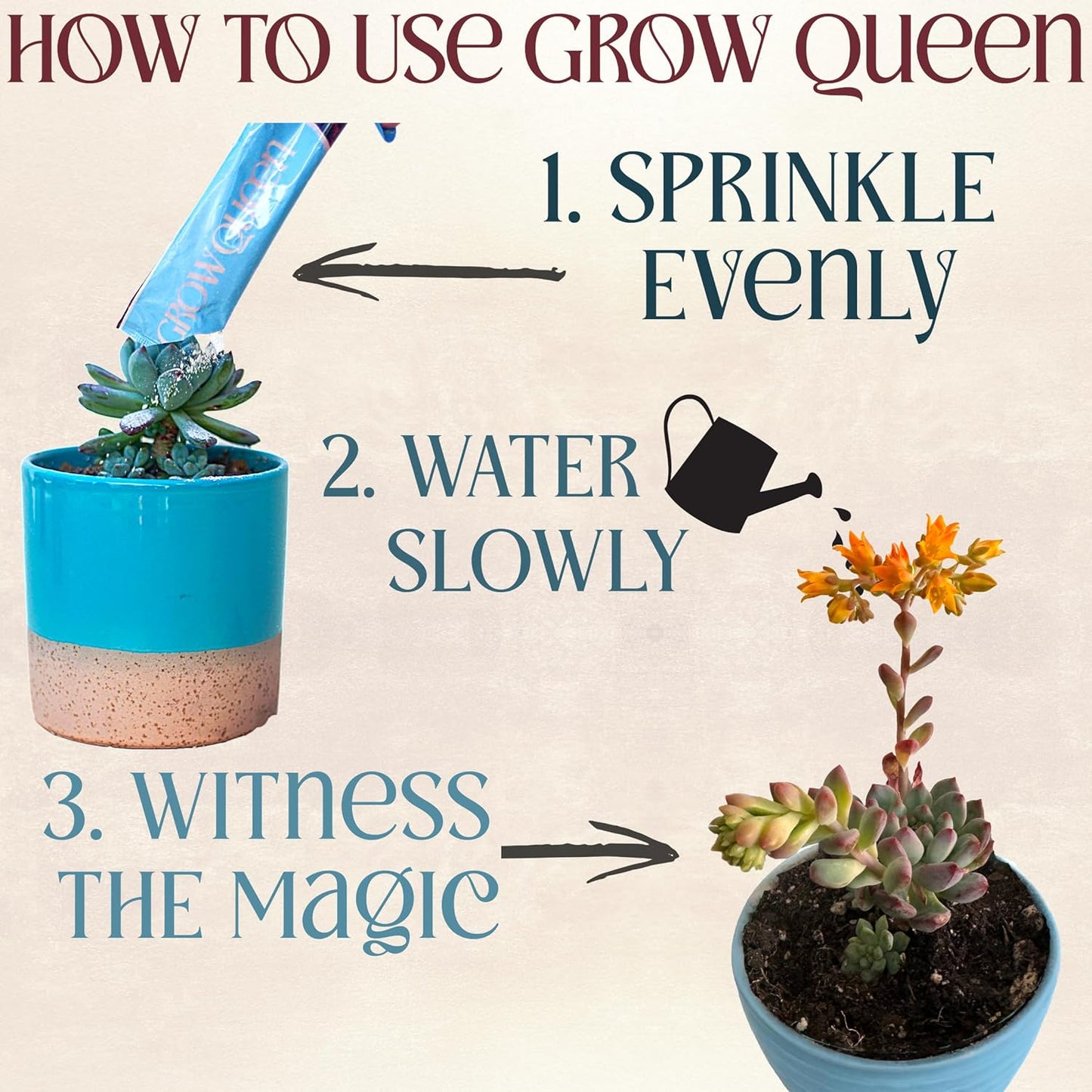 All-In-One Organic Succulent Fertilizer, Cactus Fertilizer, Succulent Plant Food, Bonsai & Cactus Food, 1lb bag = 25 Single Servings, Fast & Slow Release feeds up to 100 plants for 8 months