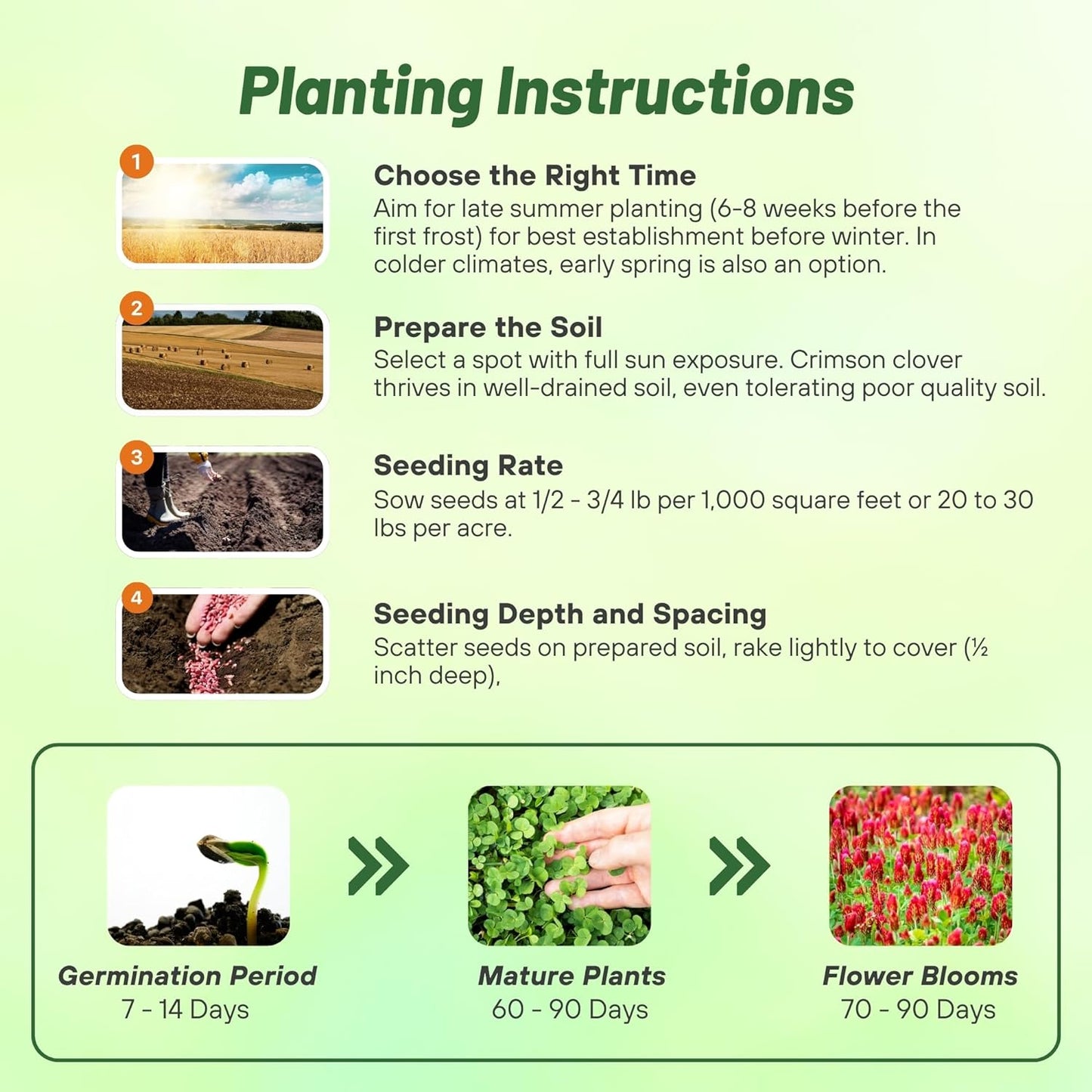 Outsidepride Crimson Clover Seeds - 5 lbs. Annual, Nitrocoated, & Inoculated Ground Cover Seeds, Ideal Clover Seed for Lawn, Cover Crop, Pasture, Hay, Green Manure & Wildlife Forage