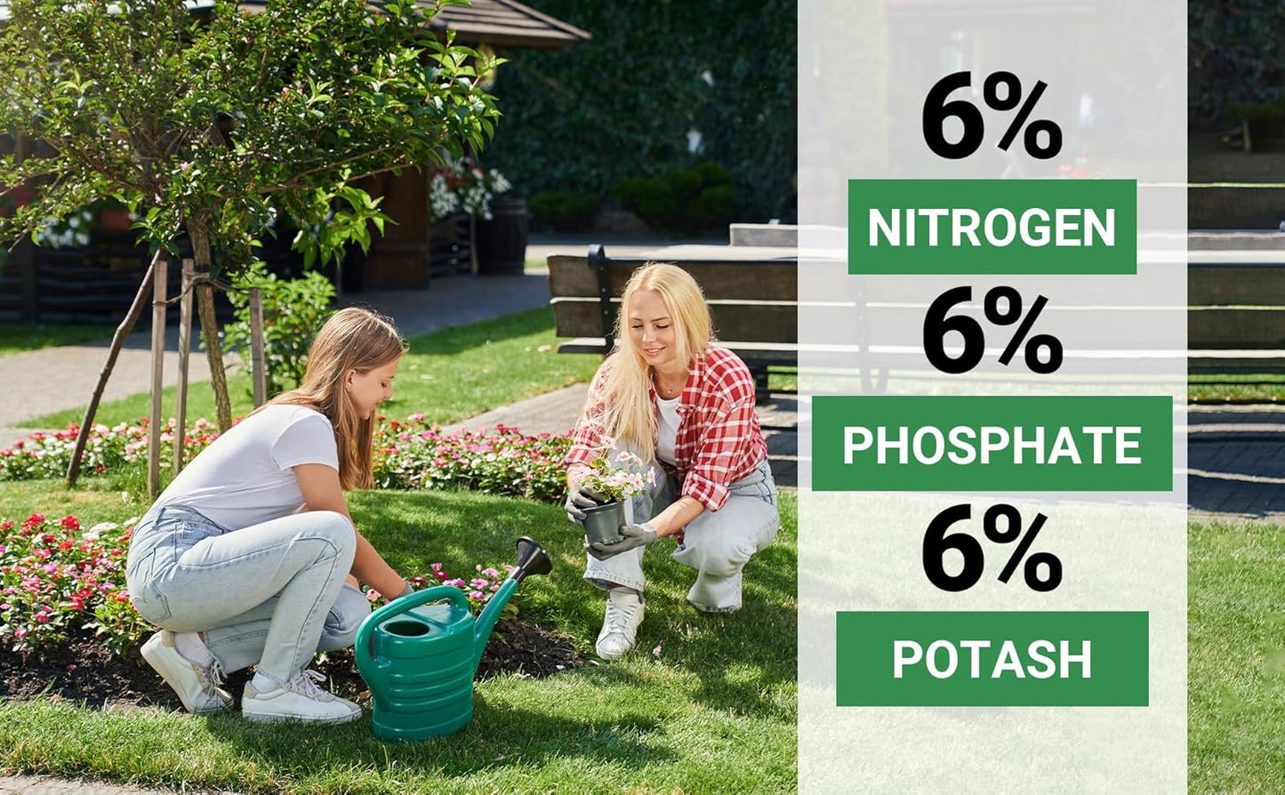 6-6-6 All-Purpose Professional Plant Food Fertilizer; Ideal for Winter Care & Spring Feeding, Perfect Balanced NPK for Indoor and Outdoor Plants (20 QUARTS)