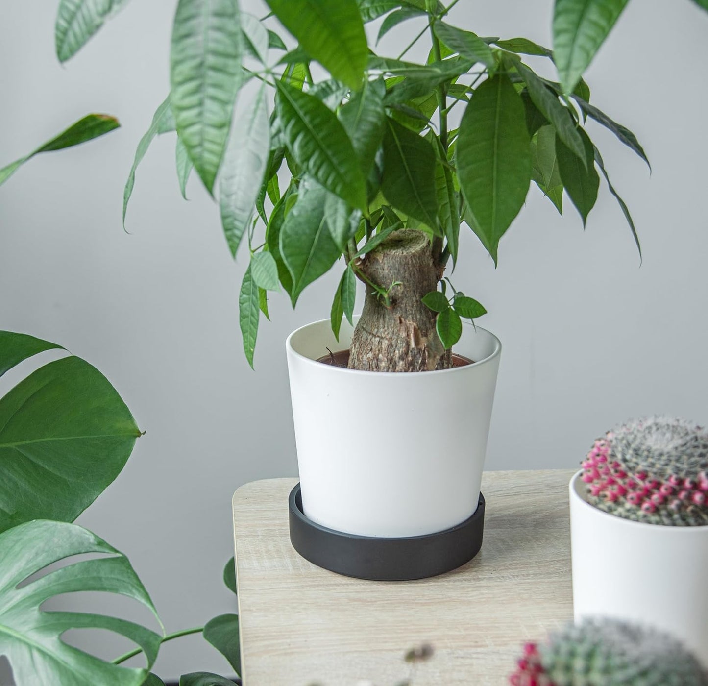 Phoenix Vine 6 Inch Plastic Plant Saucer Water Drip Tray, Heavy Sturdy Round Plant Drainage Tray for Indoors Outdoor, Set of 4, Matte Black, 21-TY-6B-4