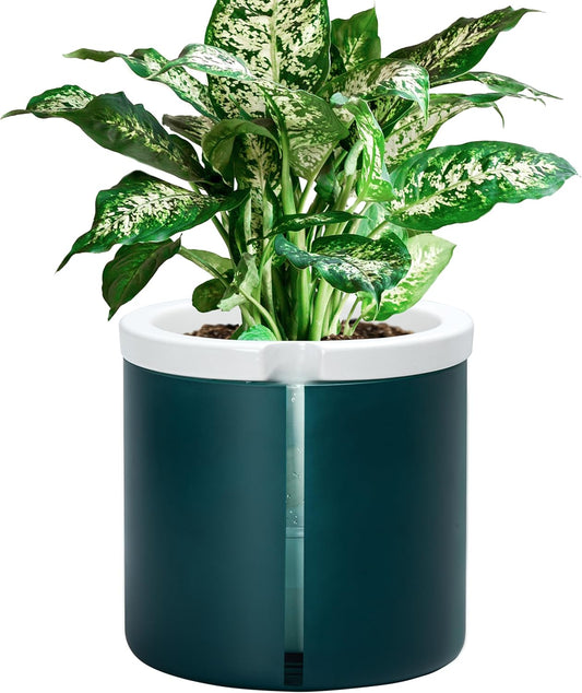 D'vine Dev 8 Inch Design Self Watering Planter for Indoor Plants, White Terracotta Pot with Teal Cylinder Glass Cup, 37-X-C-5