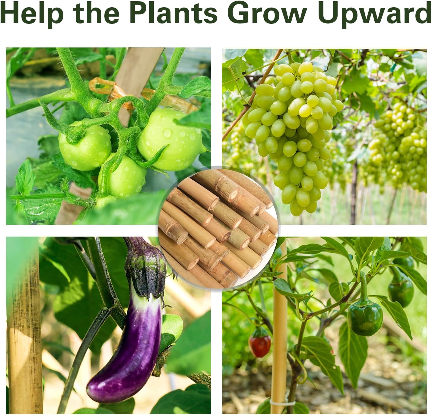 Bamboo Stakes 3 FT 30pcs, 36 inch Garden Stakes Multi-Purpose, Bamboo Plant Support Stakes for Tomatoes, Beans, Peppers, Flowers, Potted, Maintain The Plant Posture, Strengthen and Stem