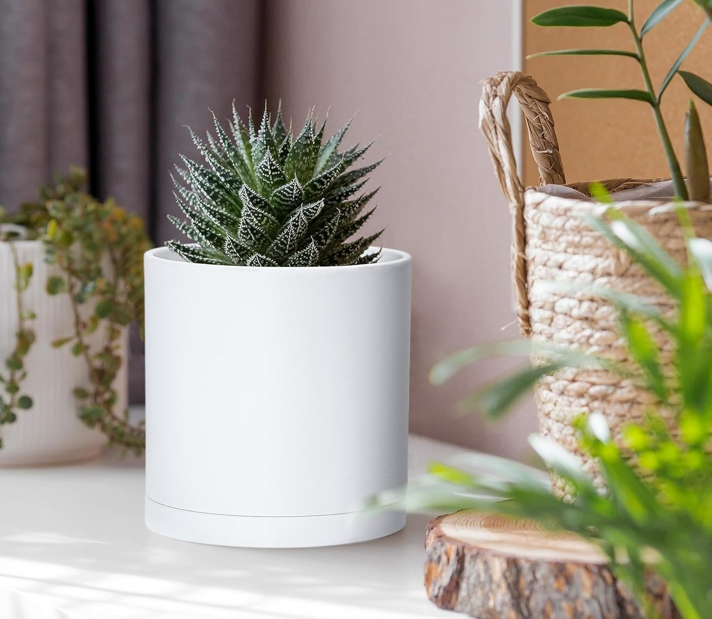 D'vine Dev 4 Pack 4 Inch Modern Plastic Plant Pots, Small Garden Planters for Plant with Drainage Holes and Saucers, White Color, 74-Z-E-2