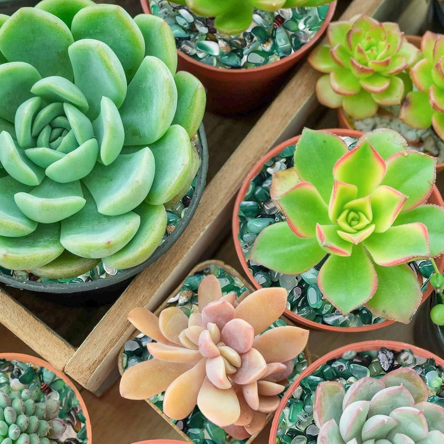 Halatool 6LB Green Pebbles 0.35"- 0.6" Aquarium Gravel for Fish Tank Natural Landscaping Pebbles for Home Decor Decorative Polished Stones for Succulents Potted Plants DIY Handmade & Vase Filler