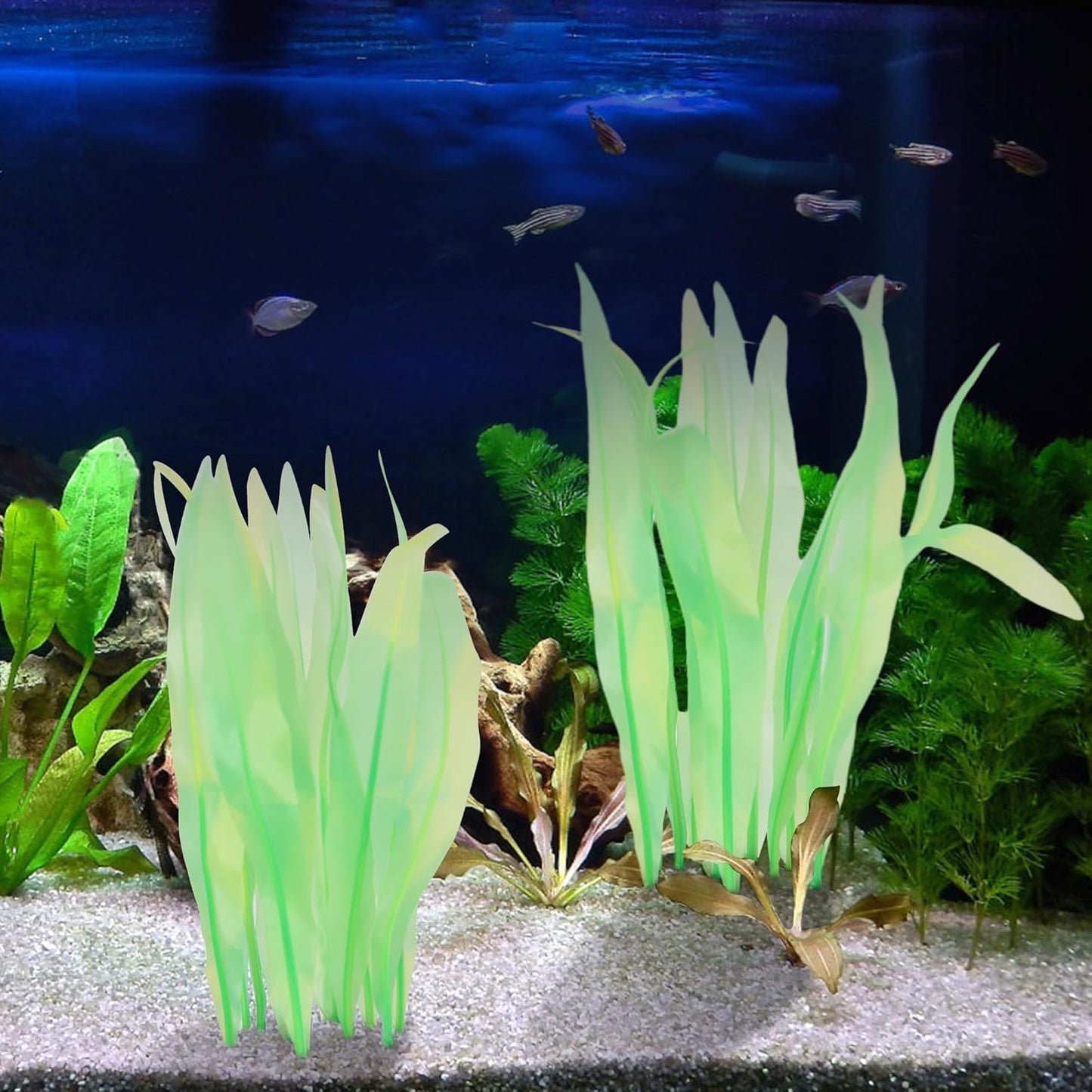 Kaiyuan Dynasty 2pc Artificial Fish Tank Plants Aquarium Decoration Plants Silicone Glowing Kelp Ornament Fish Tank Decor Aquarium Plant Aquatic Water Grass,7inch,Green