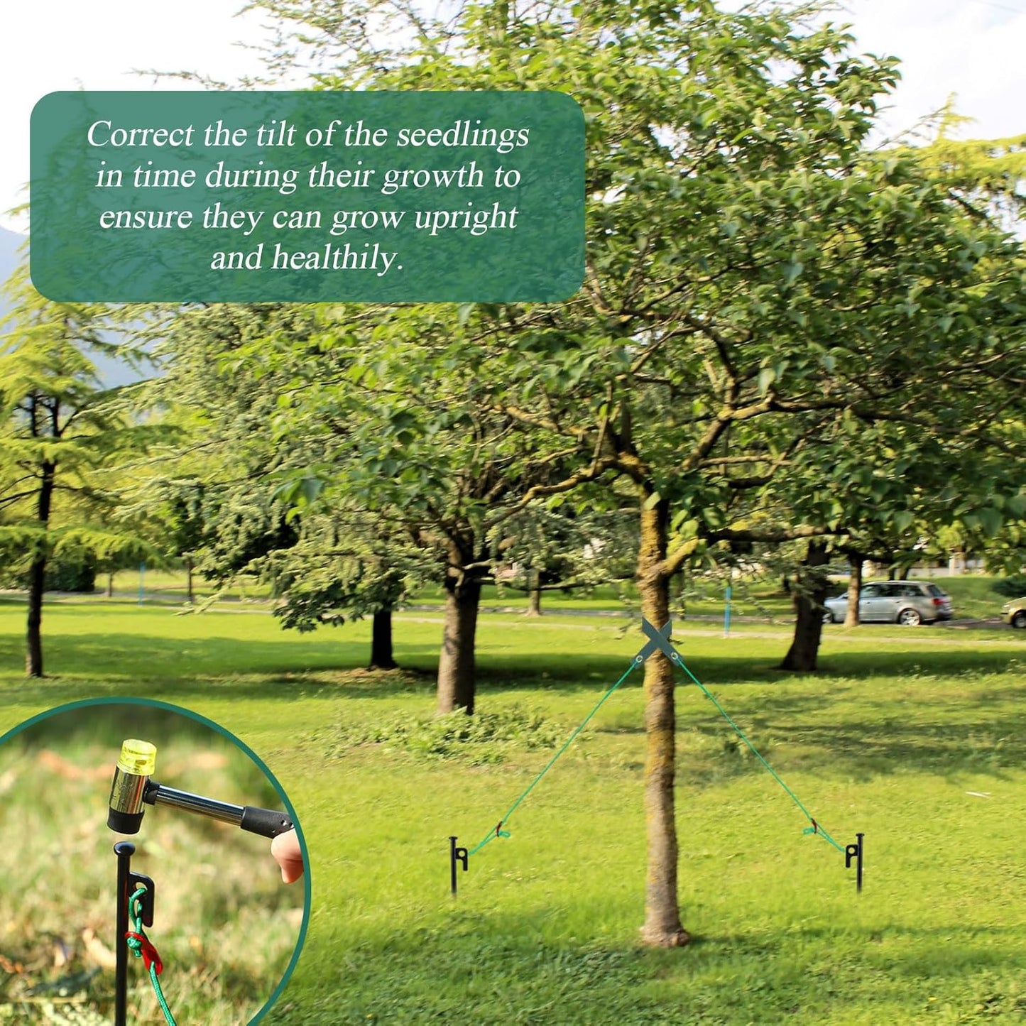 Suzile 60 Pcs Tree Stake Kit, Heavy Duty Tree Staking and Supports for Leaning Trees Include 11. 8'' Steel Stakes 15. 8'' Support Straps 13. 12 ft Ropes for Anchoring Hurricane Protection (Green)