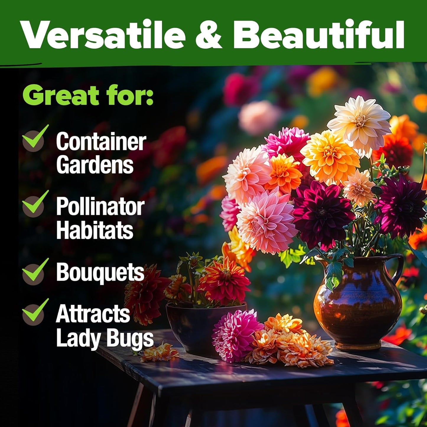 HOME GROWN 𝗨𝗦𝗔 𝗣𝗥𝗘𝗠𝗜𝗨𝗠 Zinnia Dahlia Seeds Pack for 2025 – 524 𝗡𝗢𝗡-𝗚𝗠𝗢 Flower Seeds | Vibrant Zinnia Elegans for Pollinator Gardens, Borders & Containers | Easy-to-Grow Outdoor Blooms