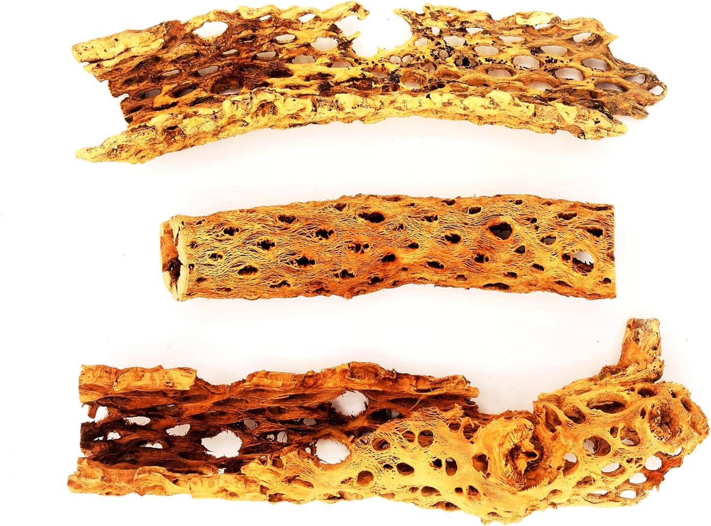 Natural Cholla Wood Chunk Large Air Plant Display Holders Individually Unique Decorative Stands or Holder (Cholla Chunk Extra Large)