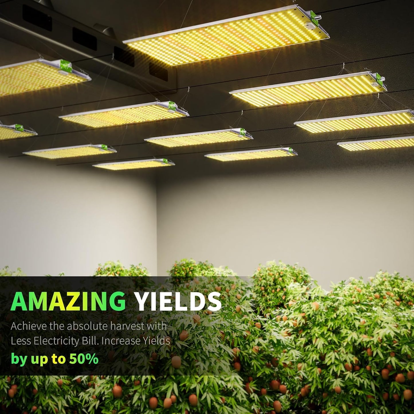 BESTVA 2025 Upgraded BP2000 LED Grow Light with High Yield Diodes & Dimmable Full Spectrum Plant Light for Indoor Plants Seedling Veg and Bloom Grow Lamp for 4x2/3x3 Grow Tent