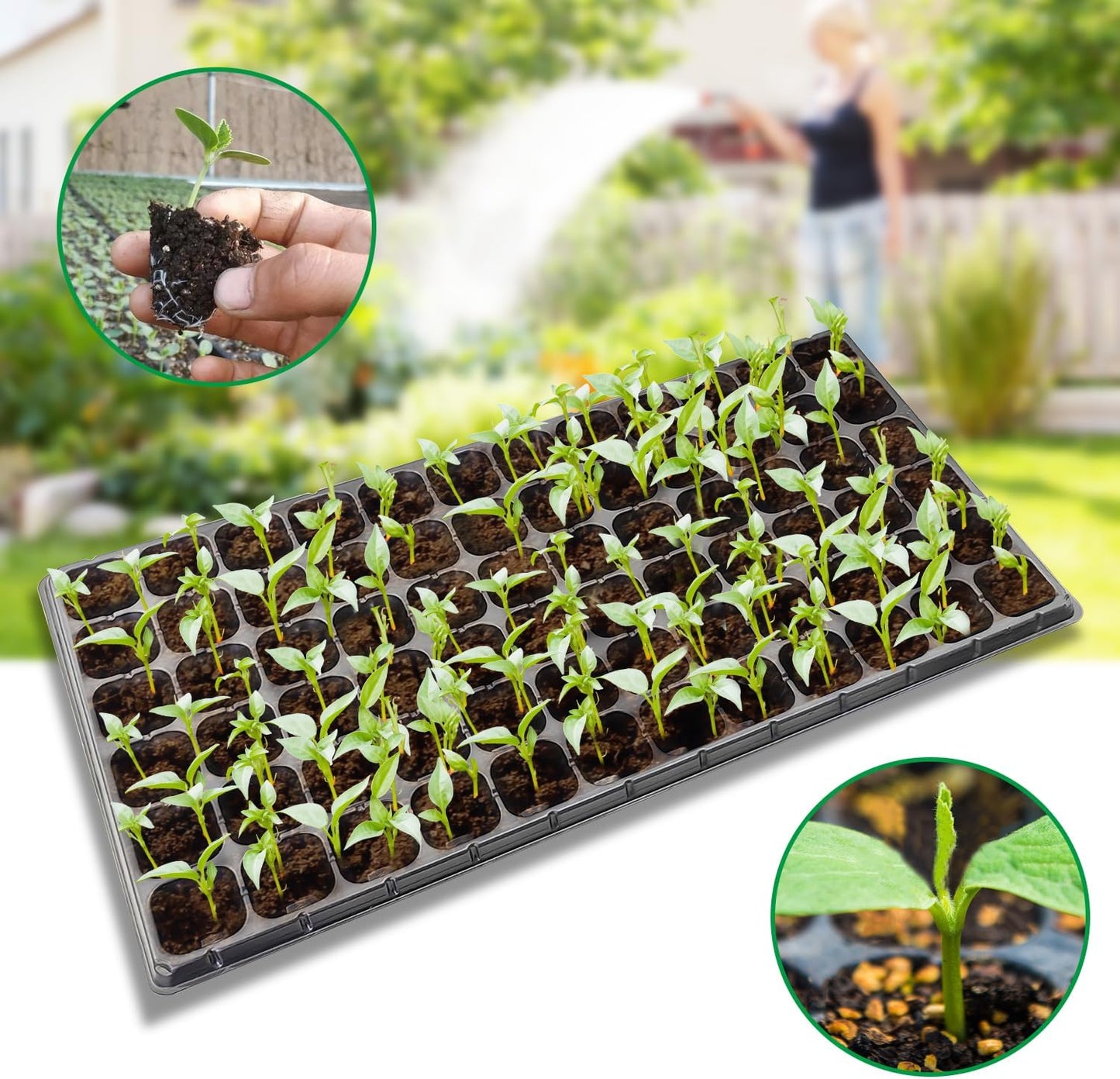 10 Pack 1020 Seed Starter Trays and 10 Pcs 72 Cell Plug Trays, Thick Durable Seedling Plastic Nursery Tray for TD538 1020 Tray Germination (10 Sets)