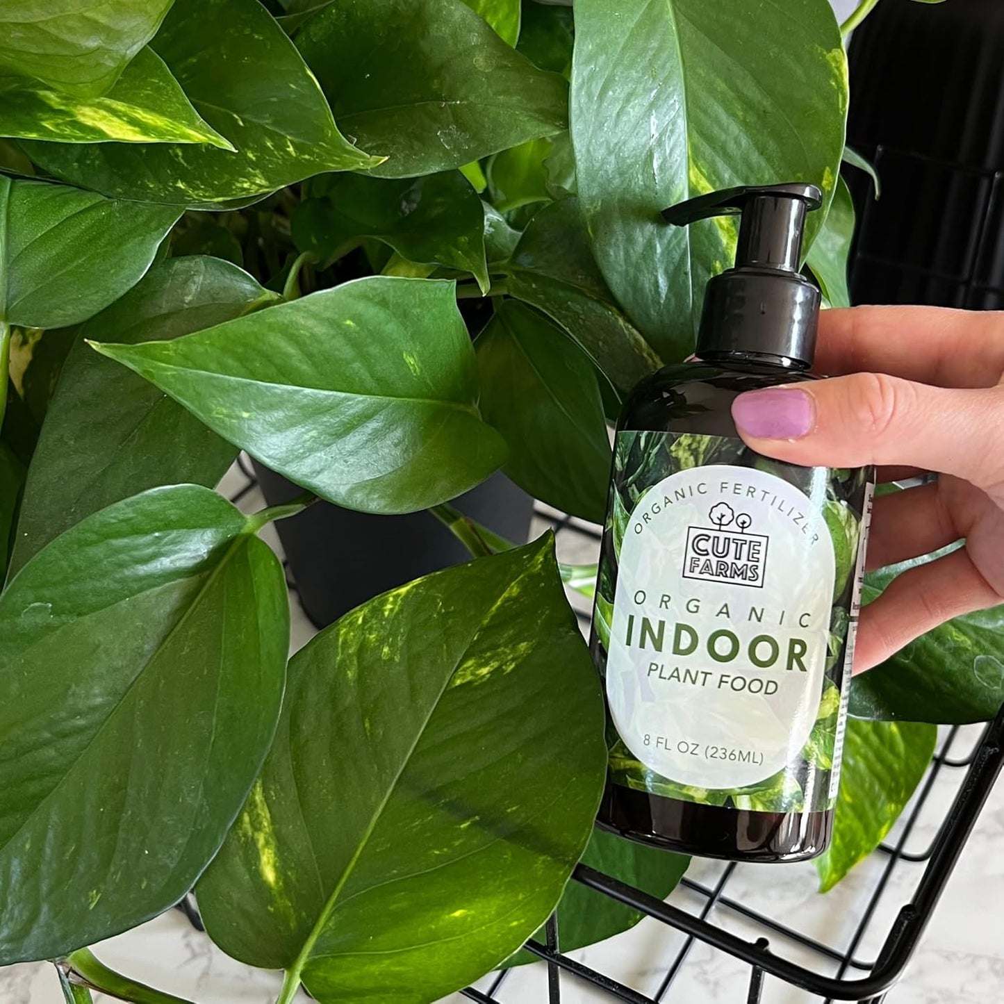 Organic Liquid Plant Food for Houseplants & Outdoor Pot Plants - All-Purpose Fertilizer (8 oz) Cute Farms