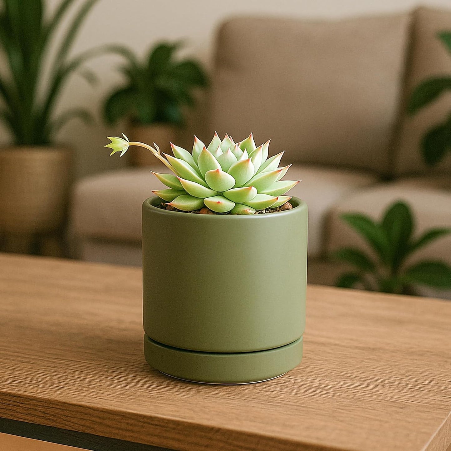 D'vine Dev 3.5 Inch Ceramic Planter Pot with Drainage Hole and Saucer, Indoor Cylinder Round Planter Pot, Olive, 94-O-A-J