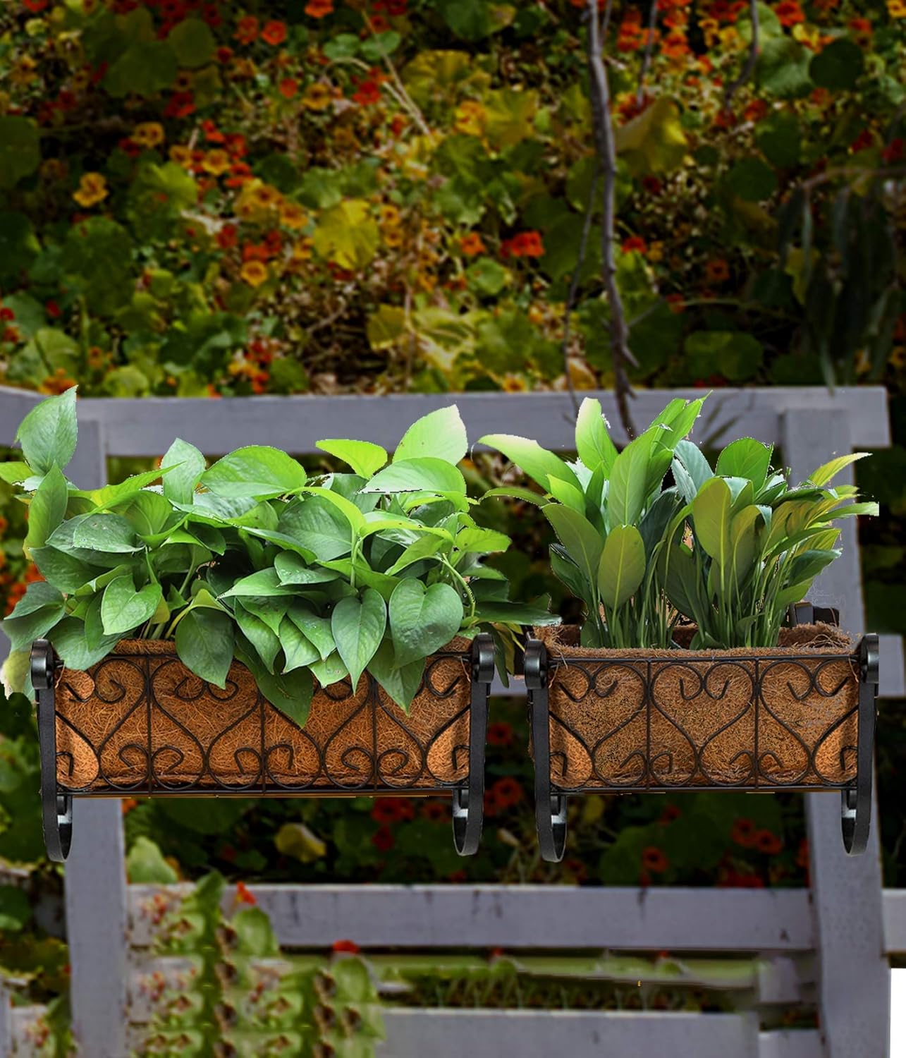 MorTime Iron Hanging Flower Rack Basket Shelf with Hooks, Railing Flower Pots Holder Black Metal Decorative Railing Shelf for Outdoor Garden Balcony Fence Patio