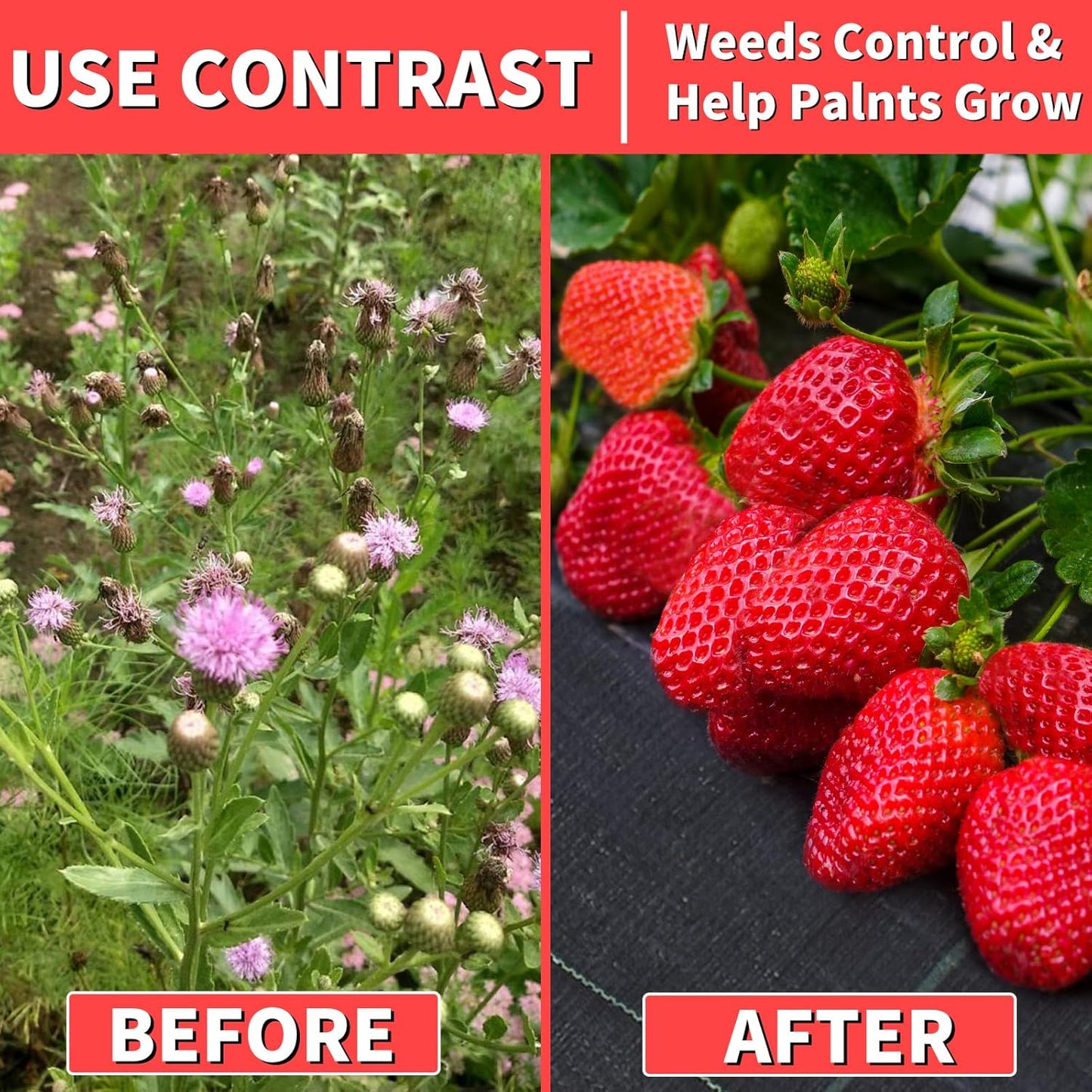 4ft x 300ft Landscape Fabric -Heavy Duty Weed Barrier Fabric for Landscaping, Weed Blocker Cloth,Geotextile Fabric for Garden, Driveway & Ground Cover, Garden Weed Mats,Grid Design