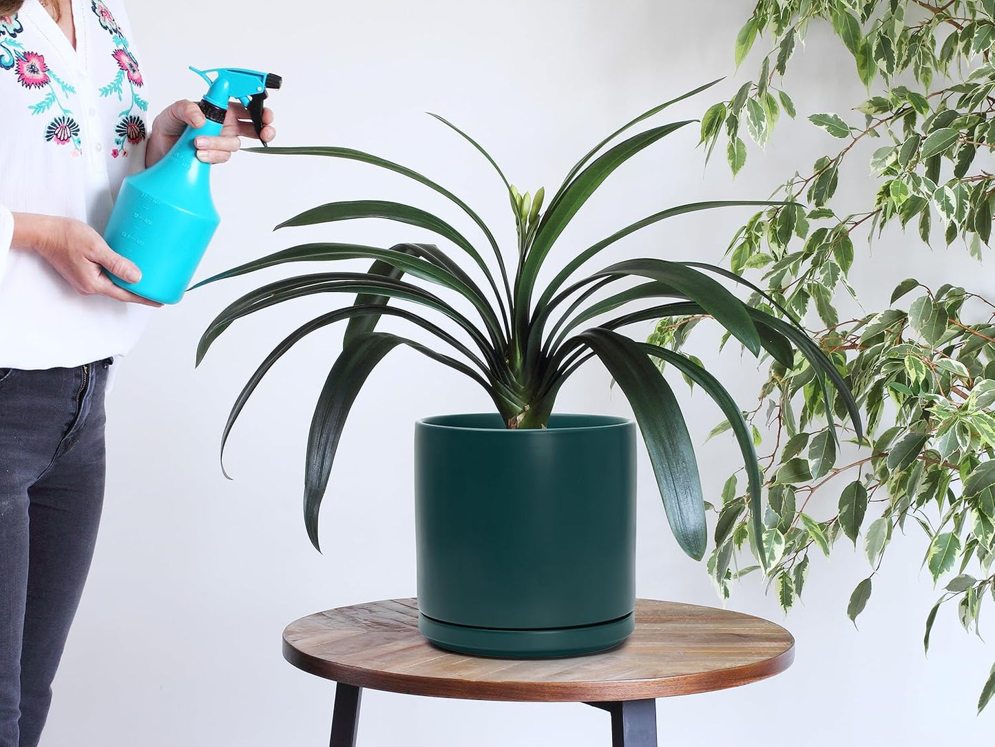 D'vine Dev 6 Inch & 8 Inch Ceramic Planter Pots for Plants with Drainage Hole and Saucer, Medium Plant Pots Set, Teal, 94-G-M-9