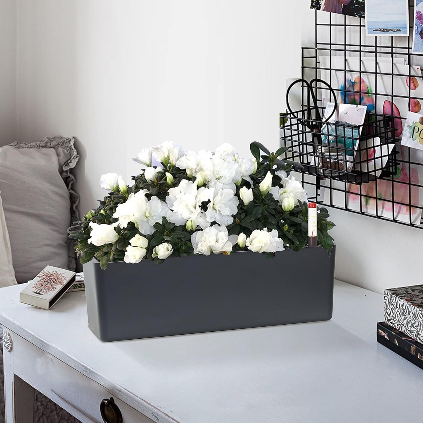 GardenBasix Elongated Self Watering Planter Pots Window Box 5.5 x 16 inch Indoor Home Garden Modern Decorative Planter Pot for All House Plants Flowers Herbs (Dark Grey,1-Pack)