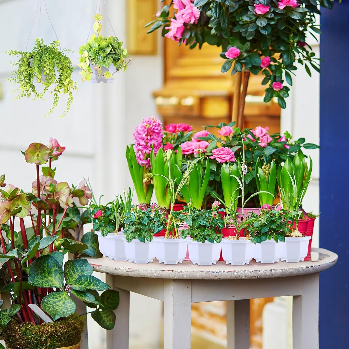 Roshtia 24 Pcs Hanging Plastic Planter Pot with Hook Flower Pots Baskets Hanging Nursery Planter Holder for Outdoor Indoor Plant Garden(Ceramic White,3.7 Inch)