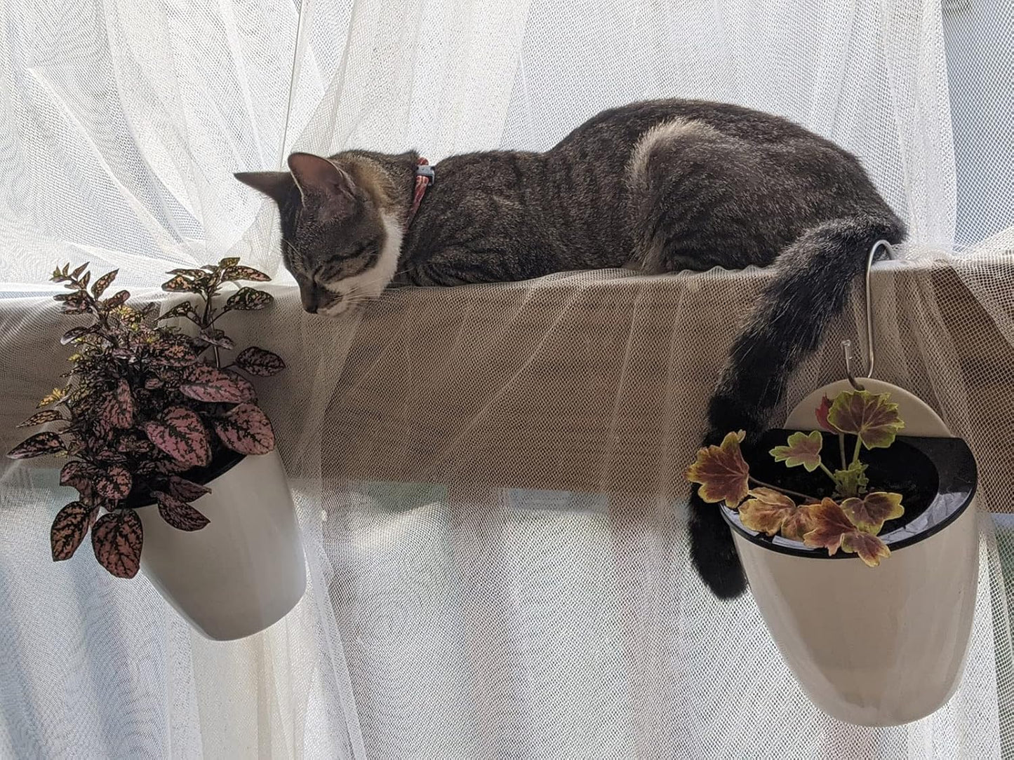 6 Packs 5" Plastic Self Watering Pots Wall Hanging Planters Wall Mounted Wicking Flower Pots for Indoor and Outdoor African Violet, Ocean Spider Plant, Orchid, White