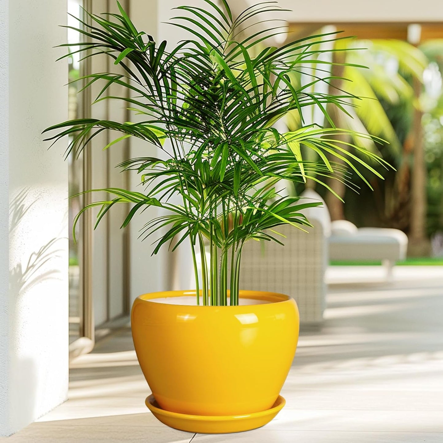8 Inch Plant Pot - Glaze Modern Round Ceramic Planter for Indoor Outdoor Plants with Drainage Hole and Saucer for Home Patio Room Office Decor, Yellow