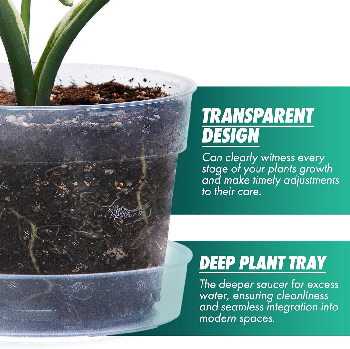 6 Inch Clear Plastic Plant Pot with Drainage Holes, Interlocking & Detachable Tray - Deep Saucer - Durable BPA-Free Plastic, Transparent Design, Raised Base for Airflow, Set of 6, 92-X-A-4