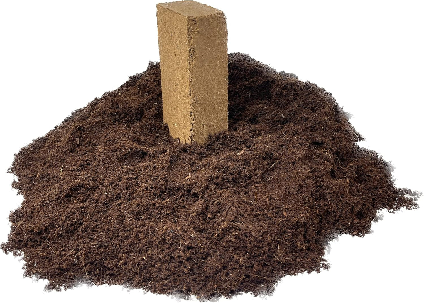 Seed Needs, Culinary Herb Seed Packet Collection Seed Starting Bundle (Includes 12 Individual Seed Packets, 36 Starter Pots & 1 Expandable Coco Coir Brick) Heirloom, Non-GMO, Untreated