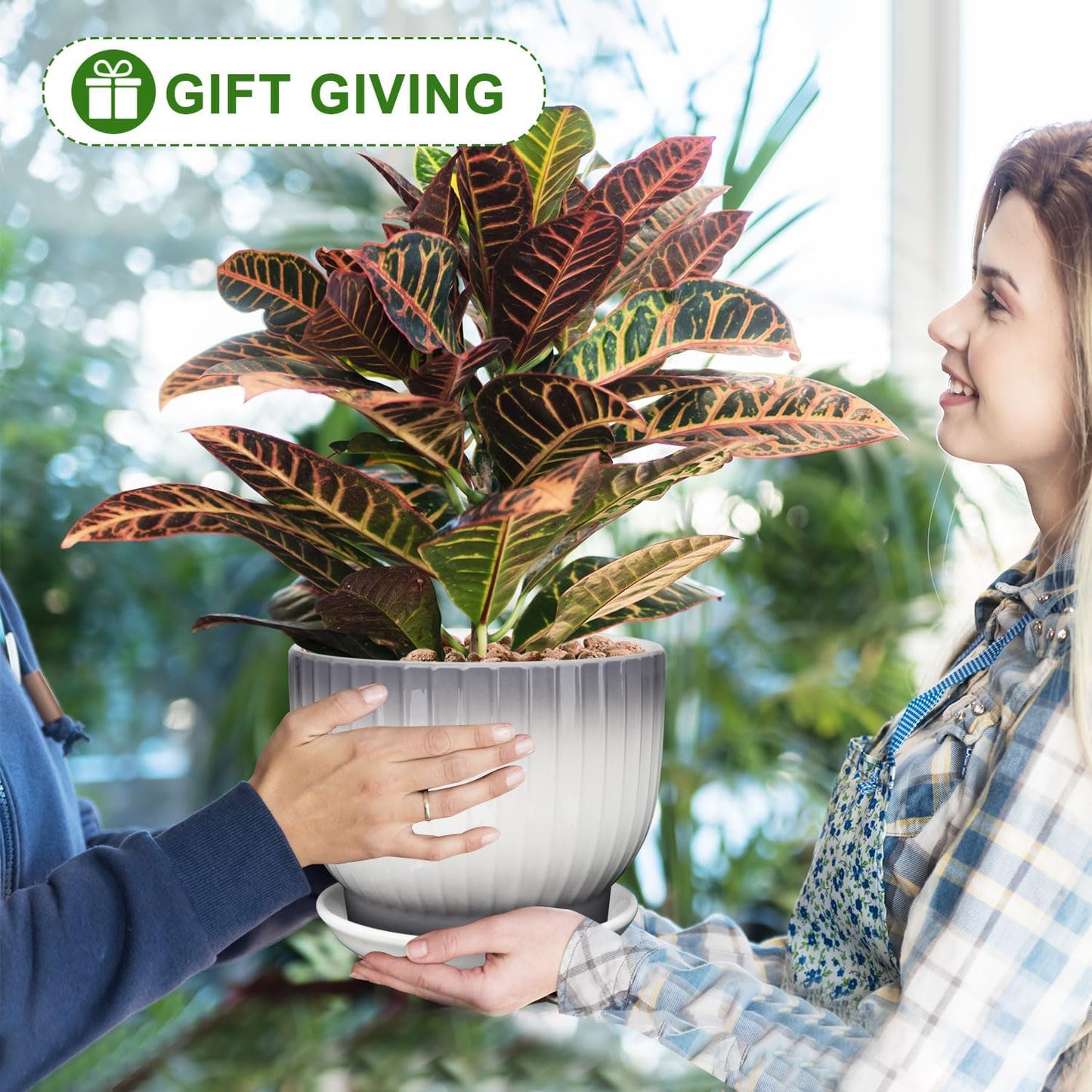 8 Inch Plant Pot, Ceramic Planter with Drainage and Saucer, Ceramic Pots for Plants, Indoor Plant pots,Ceramic Flower pots(Gray + White, Plants NOT Included)