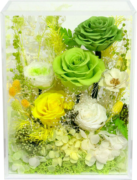 Valley of Rain & Forest Long-Lasting Real Flowers, Handcrafted Preserved Rose Bush For you to Send Love for All Occasions, Floral Arrangement for Indoor Decoration (Green Rose Spring-themed)