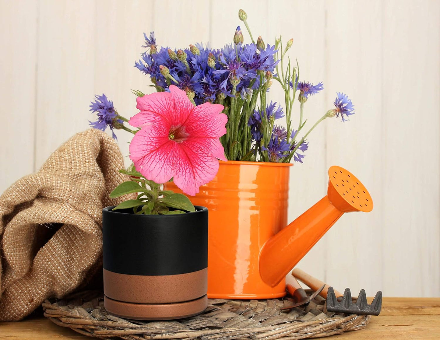 D'vine Dev 4.6 Inch & 6 Inch Ceramic Planter Pots for Plants with Drainage Hole and Saucer, Small Plant Pots Set, Black/Speckled Tan, 94-G-S-7