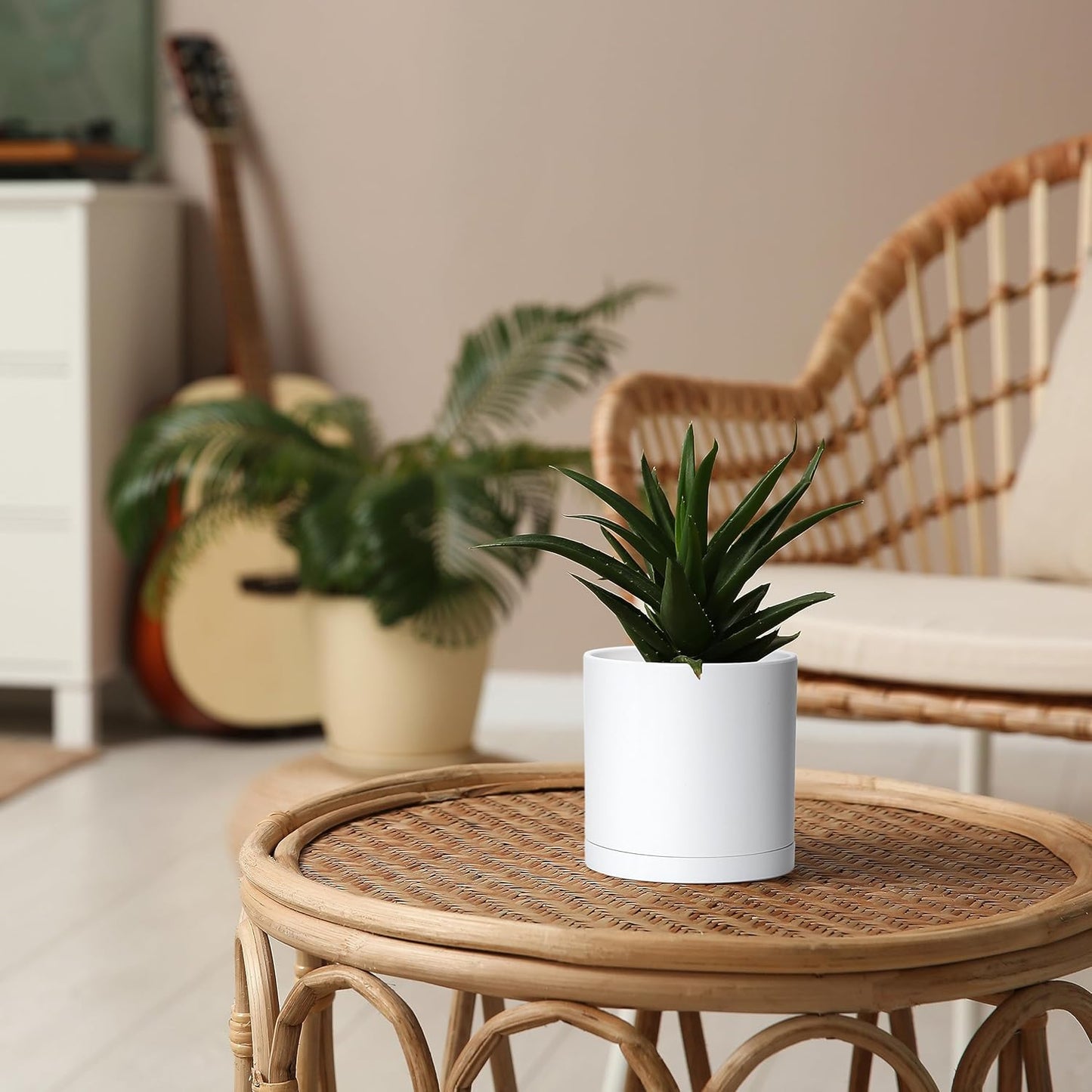 D'vine Dev 6 Pack 5 Inch Modern Plastic Plant Pots, Small Garden Planters for Plant with Drainage Holes and Saucers, White Color, 74-Z-G-3