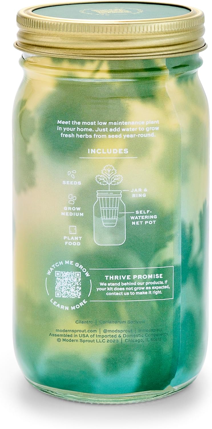Modern Sprout Mason Garden Jar - Self-Watering Hydroponics Growing System Kit with Organic Herb Seeds - Jar Planter for Indoor Herb Garden - Seed Starter Kit - Home Decor & Gifting - Mint