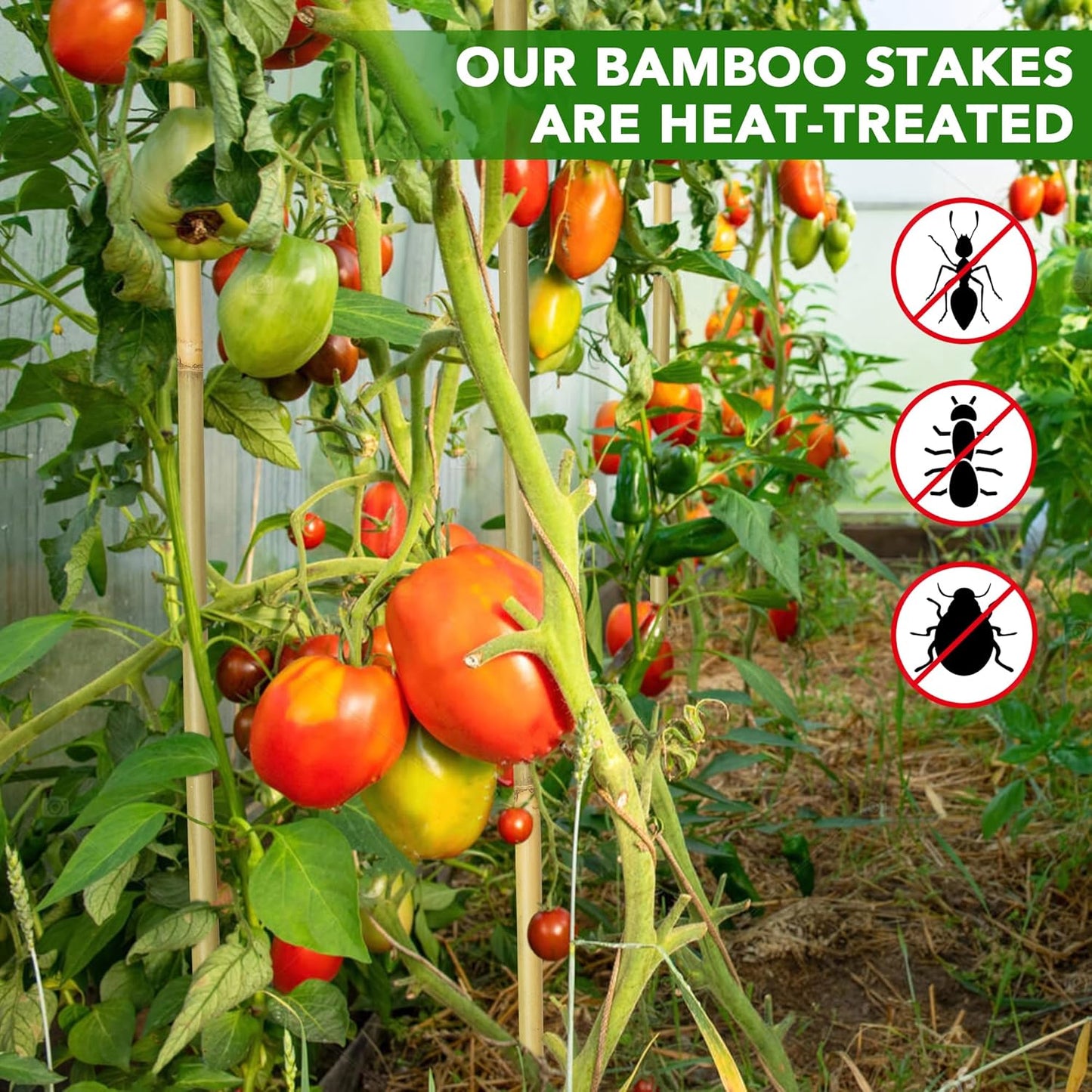 60 Pcs Bamboo Stakes, 6 Feet Natural Bamboo Garden Stakes for Plant, Garden Bamboo Plant Sticks for Plants Support, Tomato, Beans, Vegetable, Trees and Climbing Plants