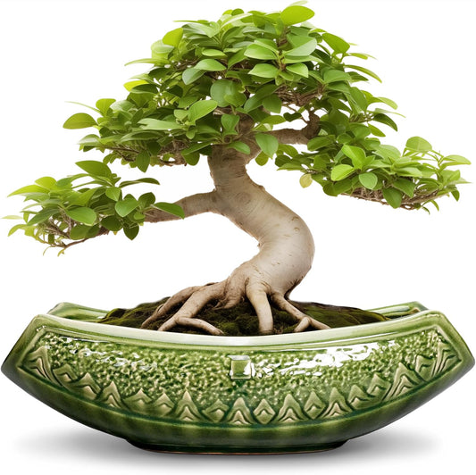 Bonsai Planter 18 Inch - Large Ceramic Succulent Pots with Drainage Hole, Bonsai Pots for Indoor Outdoor Plant, Ceramic Flower Pot, Decorative Plant Pot, Garden Decor, Housewarming Gift, Green