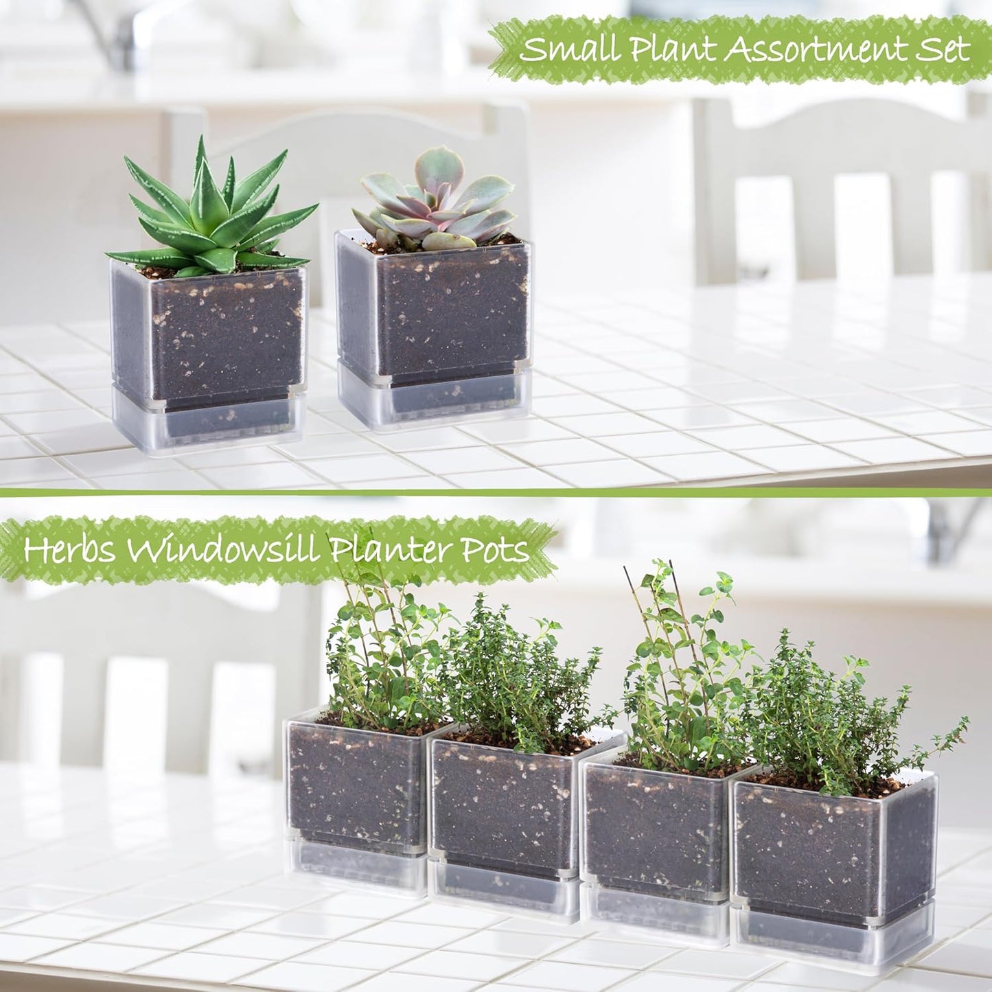 4 Inch Herb Planter Pot, Plastic Planter with Drainage Holes and Saucer, Modern Decorative Gardening Pot for Indoor Plants, Flowers, Herbs, Succulents, Clear, Set of 4, 76-Y-D-4