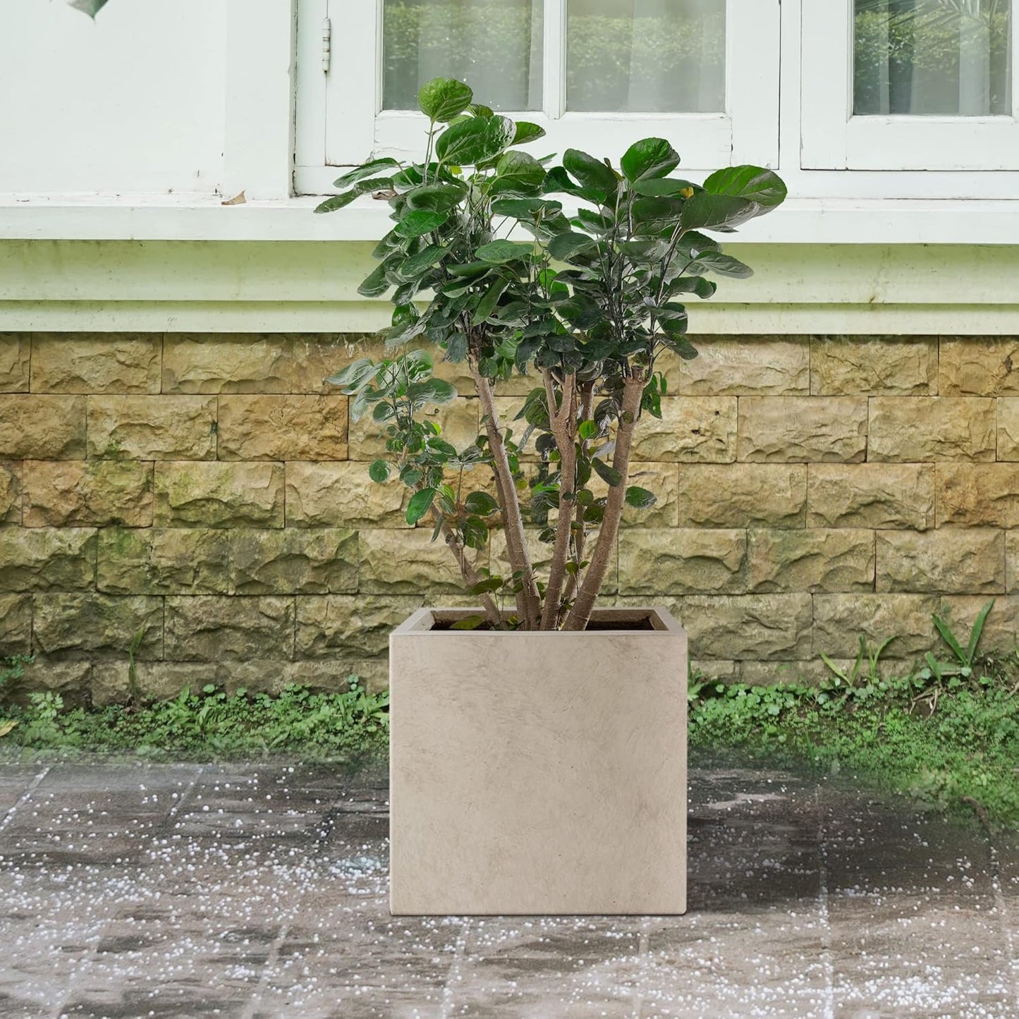 Kante 12 Inch Square Concrete Planter for Outdoor Indoor Home Patio Garden, Large Plant Pot with Drainage Hole and Rubber Plug, Weathered Concrete