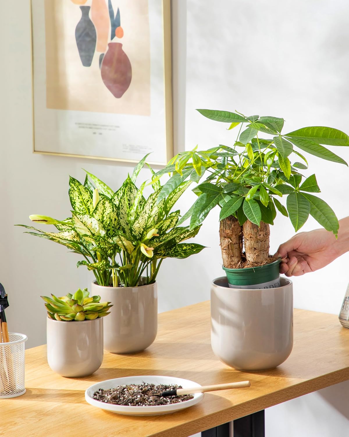 vancasso Ceramic Plant Pots, 4+5+6 inches, Set of 3, Planters with Drainage Hole, Flower Pots Planters Pots for Indoor Plants, Modern Indoor Decorative Garden Pot, Home Decor, Gray