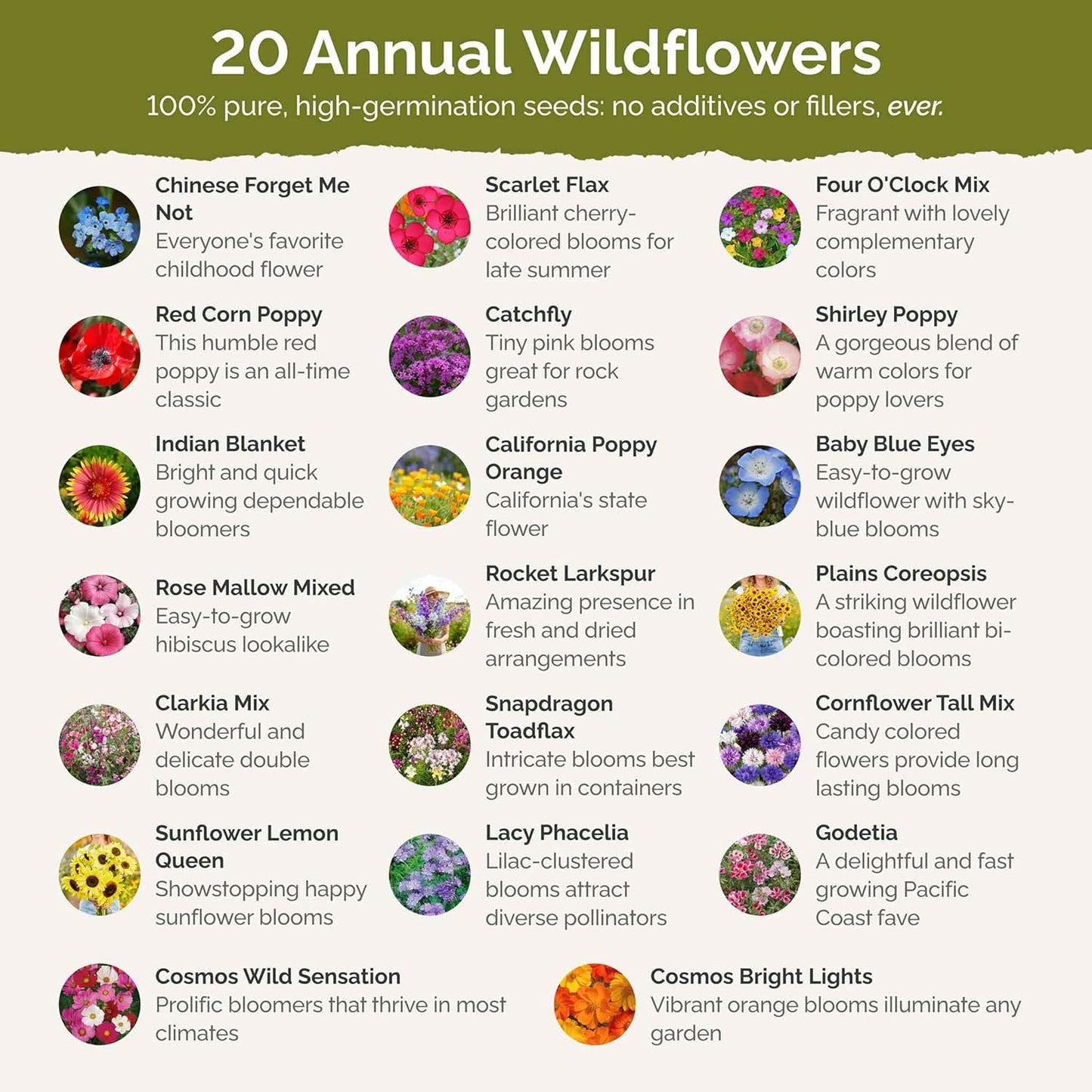 Eden Brothers All Annual Wildflower Mixed Seeds for Planting, 10 lb, 4,800,000+ Seeds Including Sunflower, Indian Blanket | Attracts Pollinators, Plant in Spring, Zones 3, 4, 5, 6, 7, 8, 9, 10