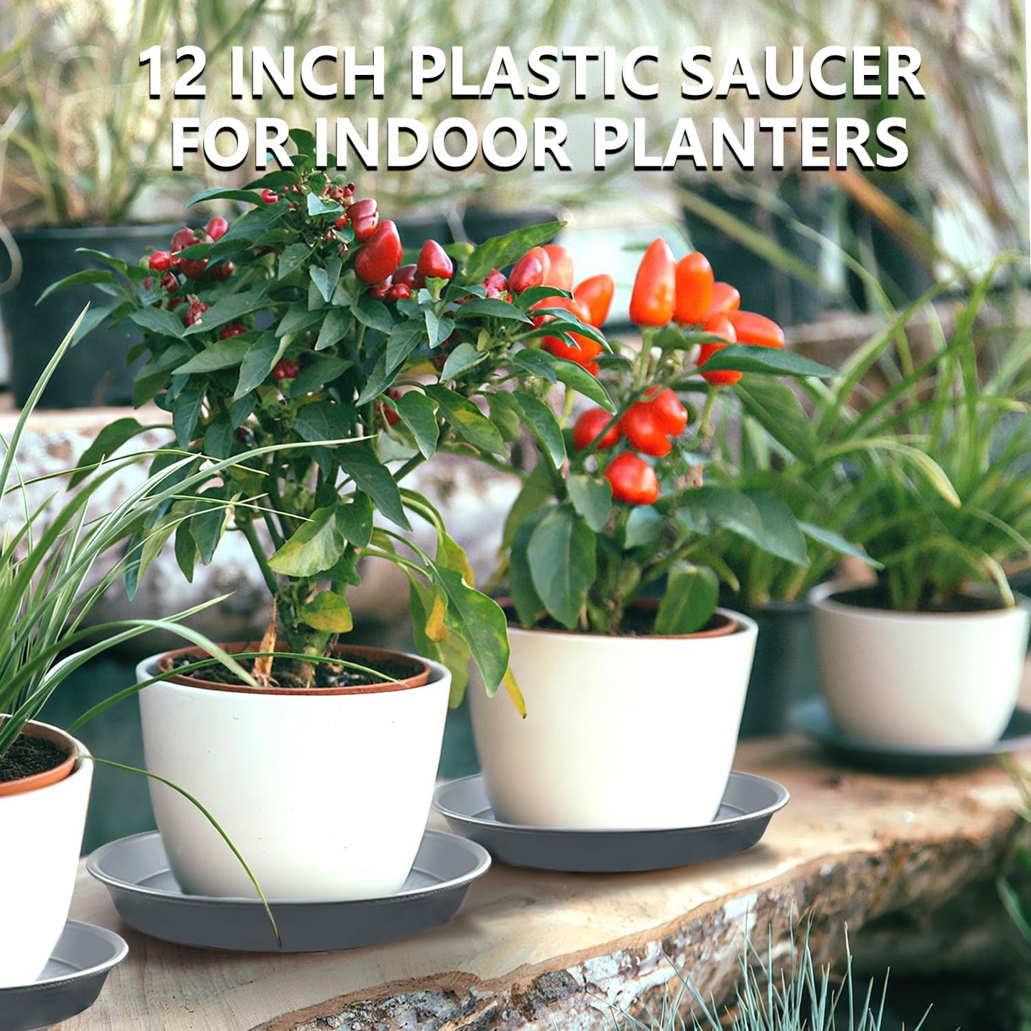 6 Pack 12 Inch Large Gray Plant Saucer Trays, Durable Heavy Duty Plastic PP Planter Bases, Round Water Catcher Plates and Drip Trays for Indoor Outdoor Gardening